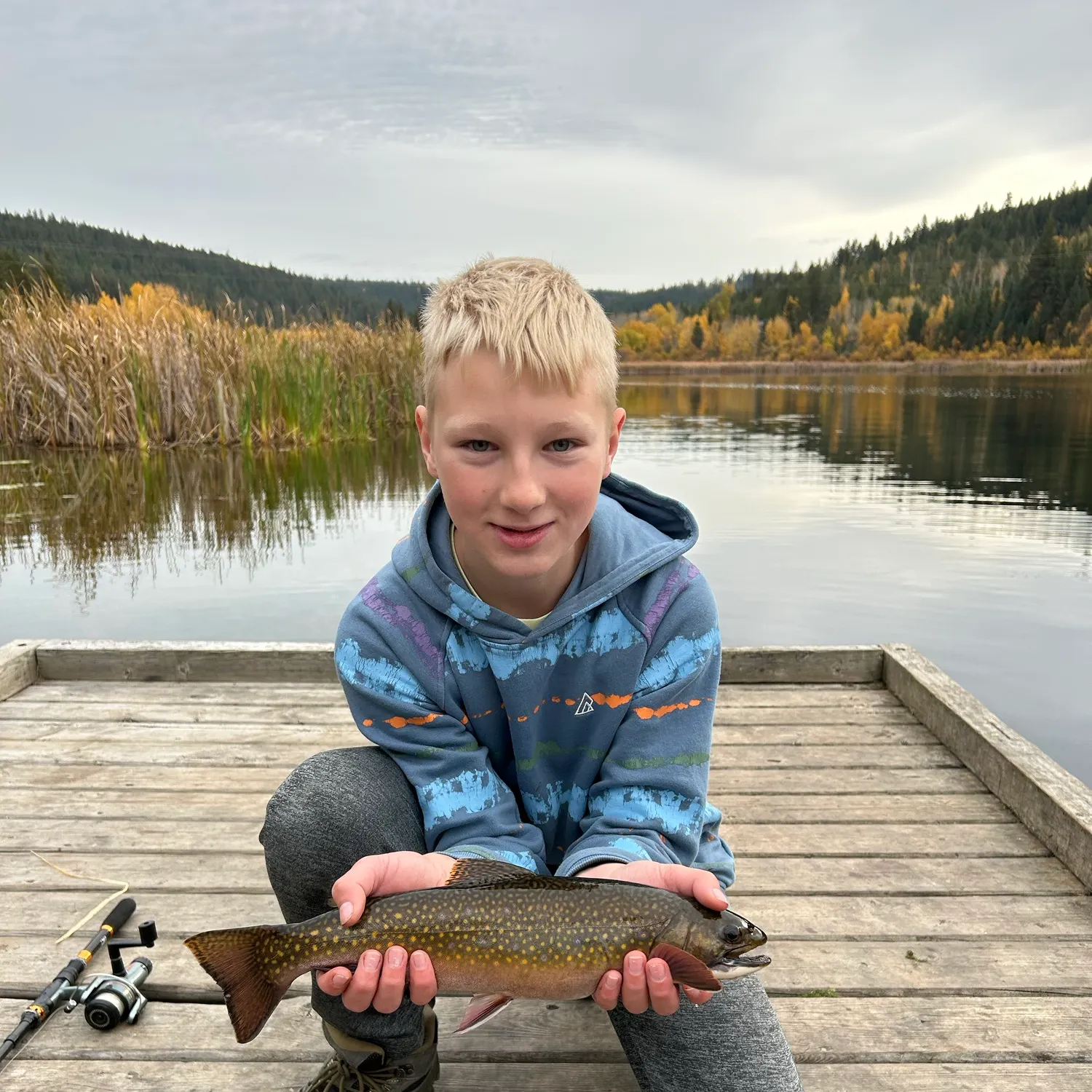 Brook trout caught on Fishbrain