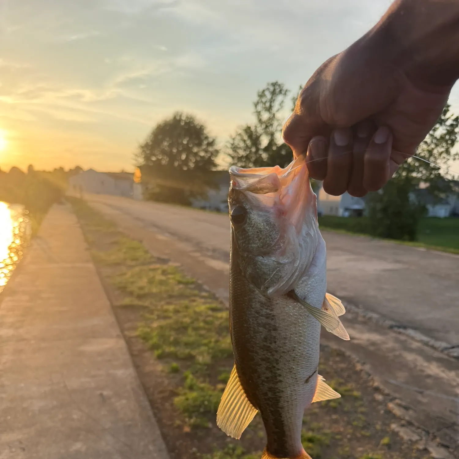 catch