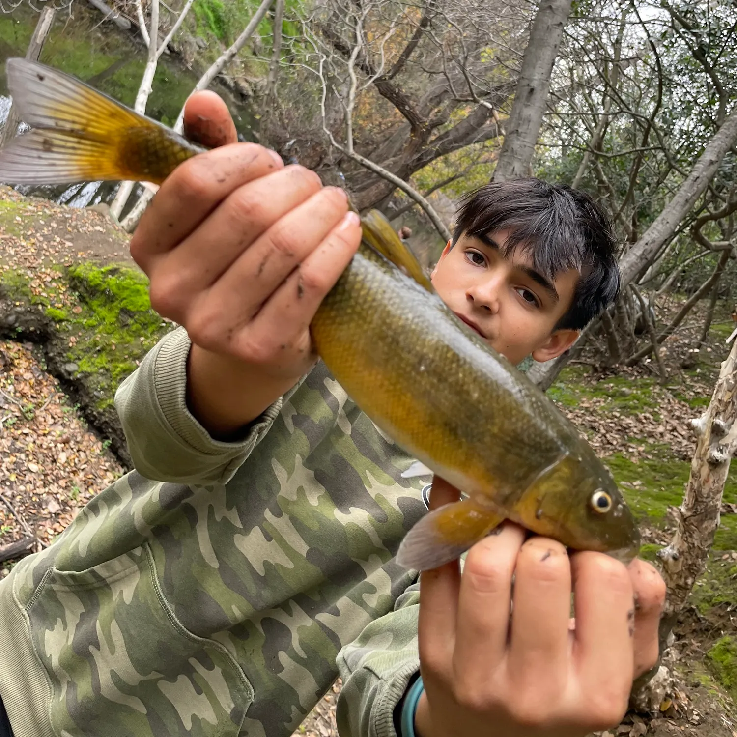 The most recent Sacramento sucker catches on Fishbrain