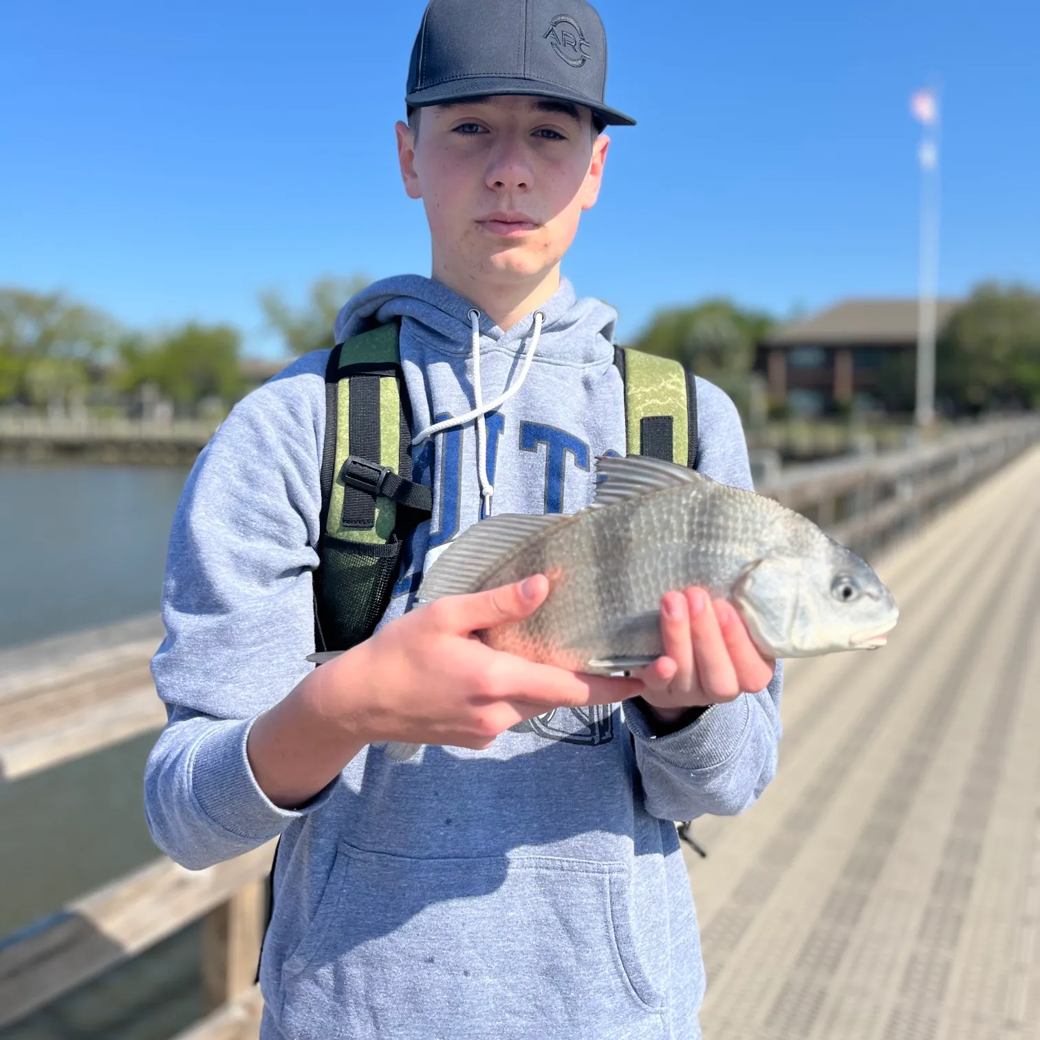 The most recent Black drum catches on Fishbrain