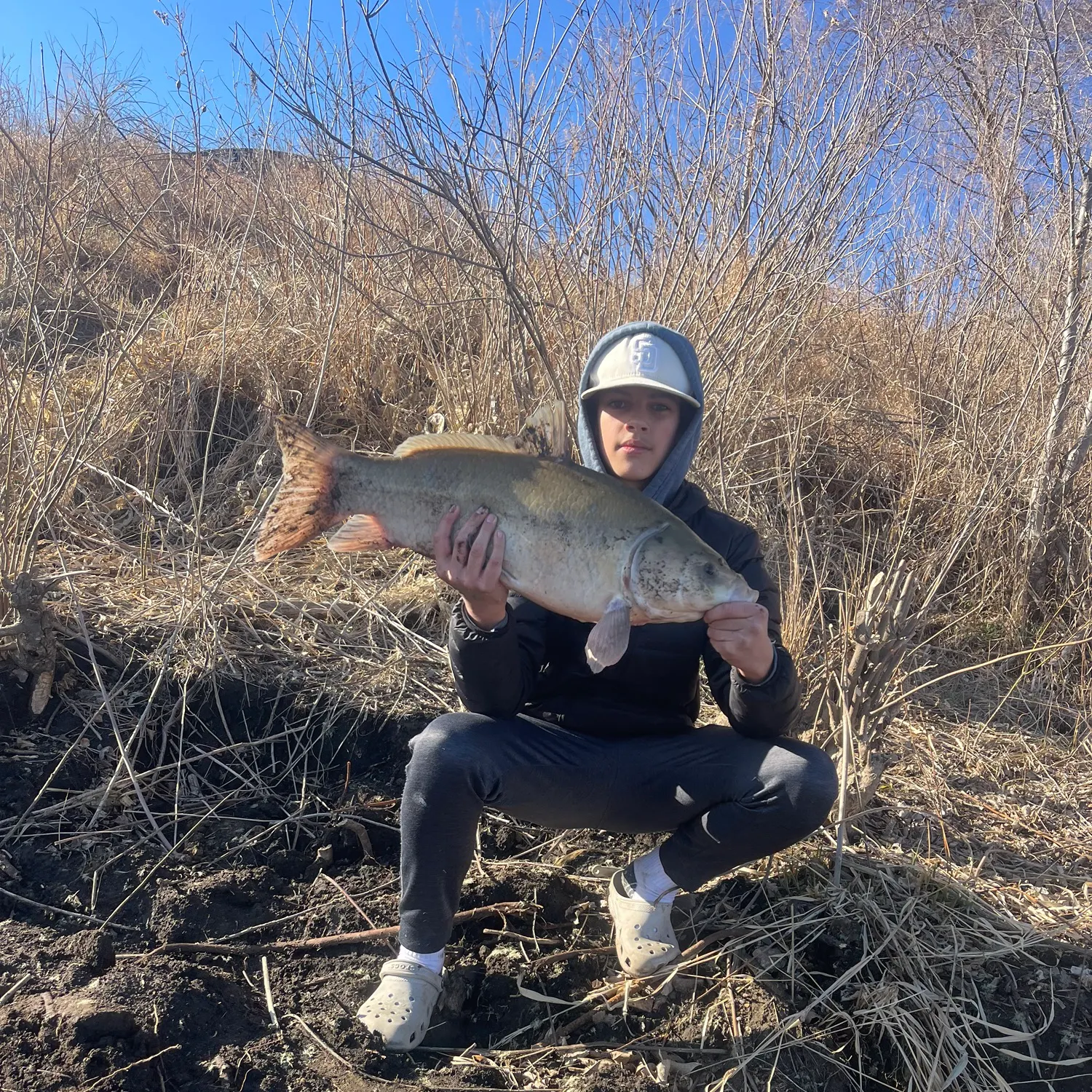 most liked catch image