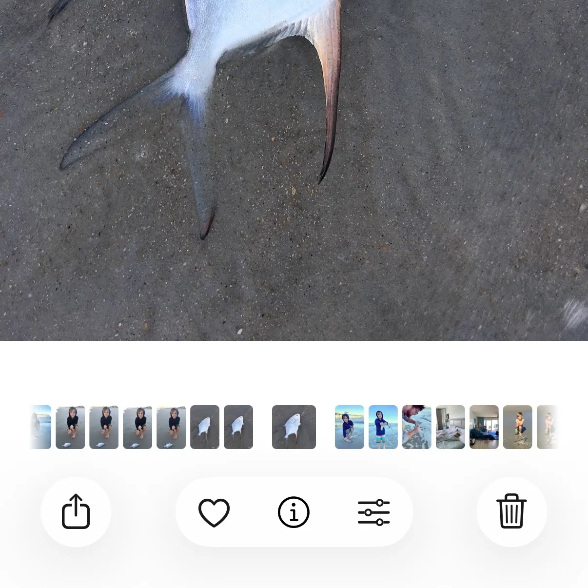 Palometa caught on Fishbrain