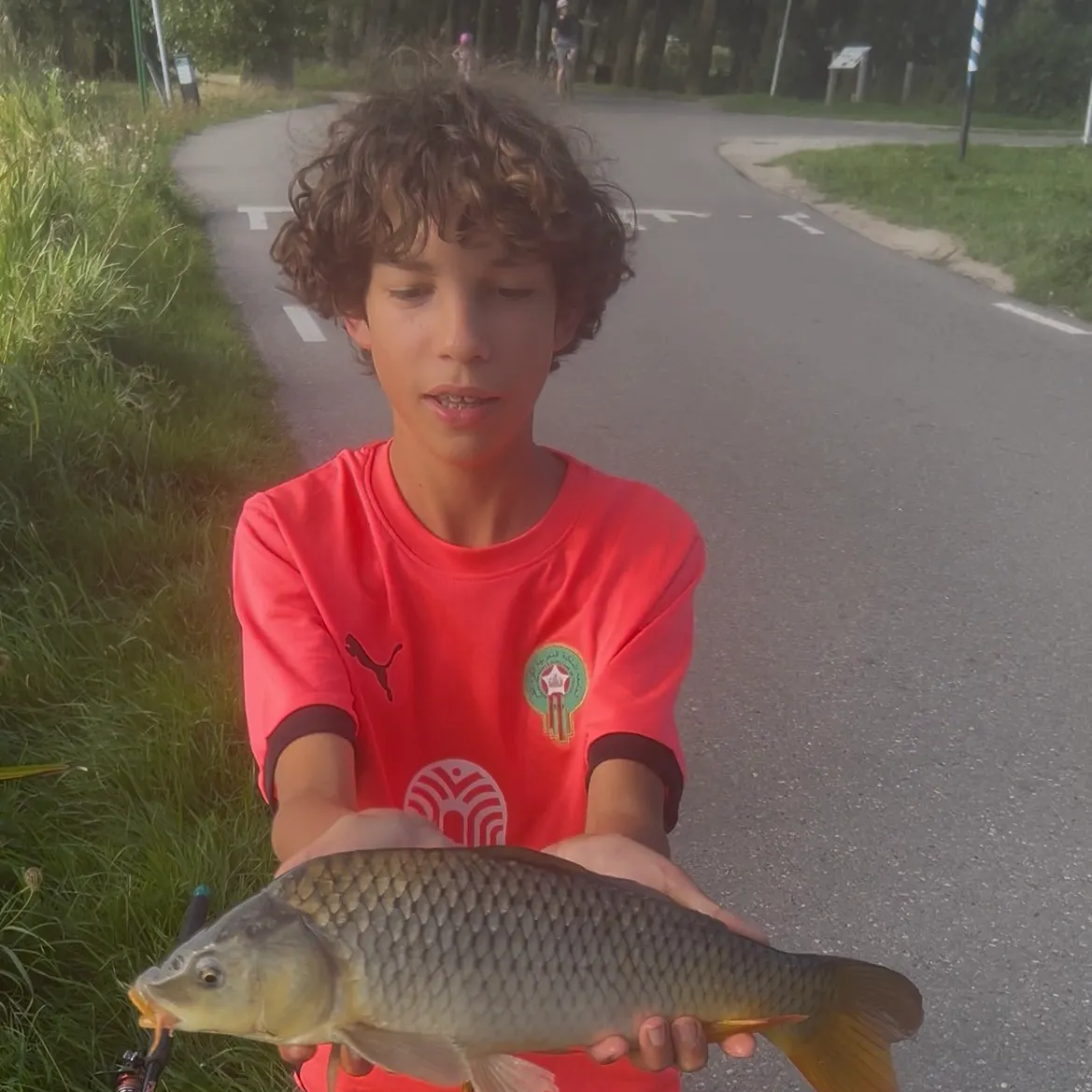 Common carp caught on Fishbrain