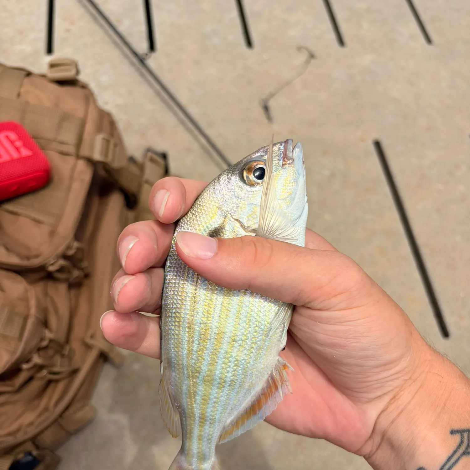 catch
