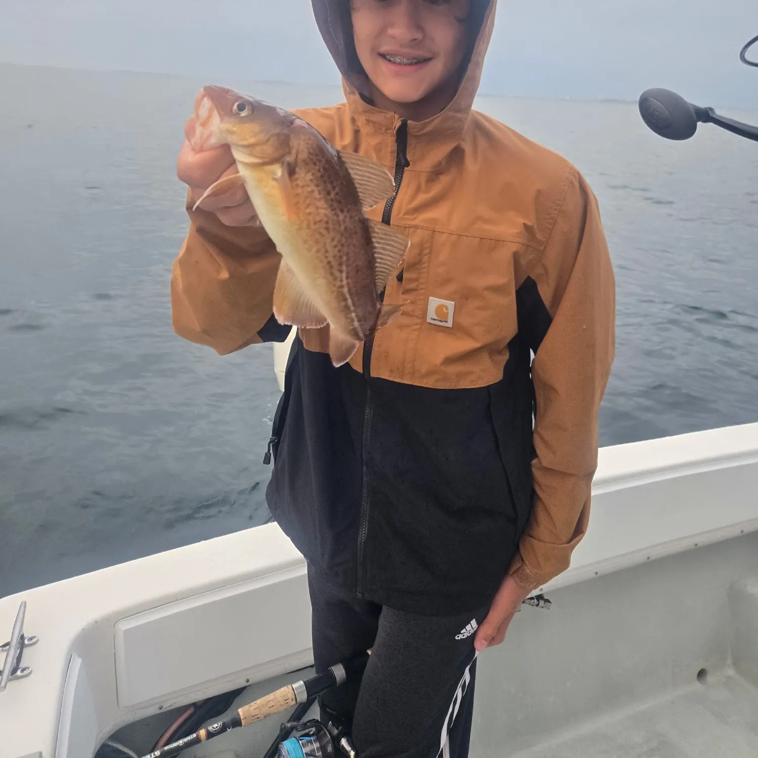The most recent Atlantic cod catches on Fishbrain