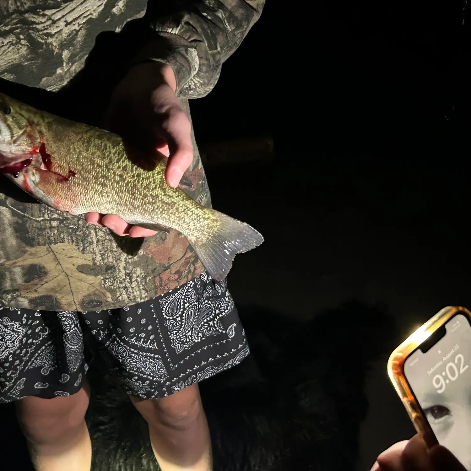 recently logged catches