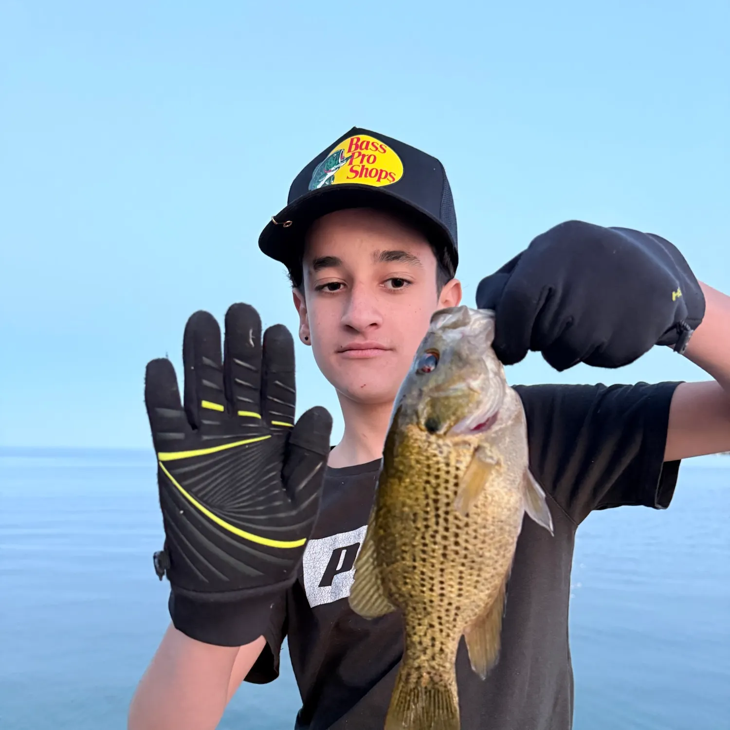Rock bass caught on Fishbrain