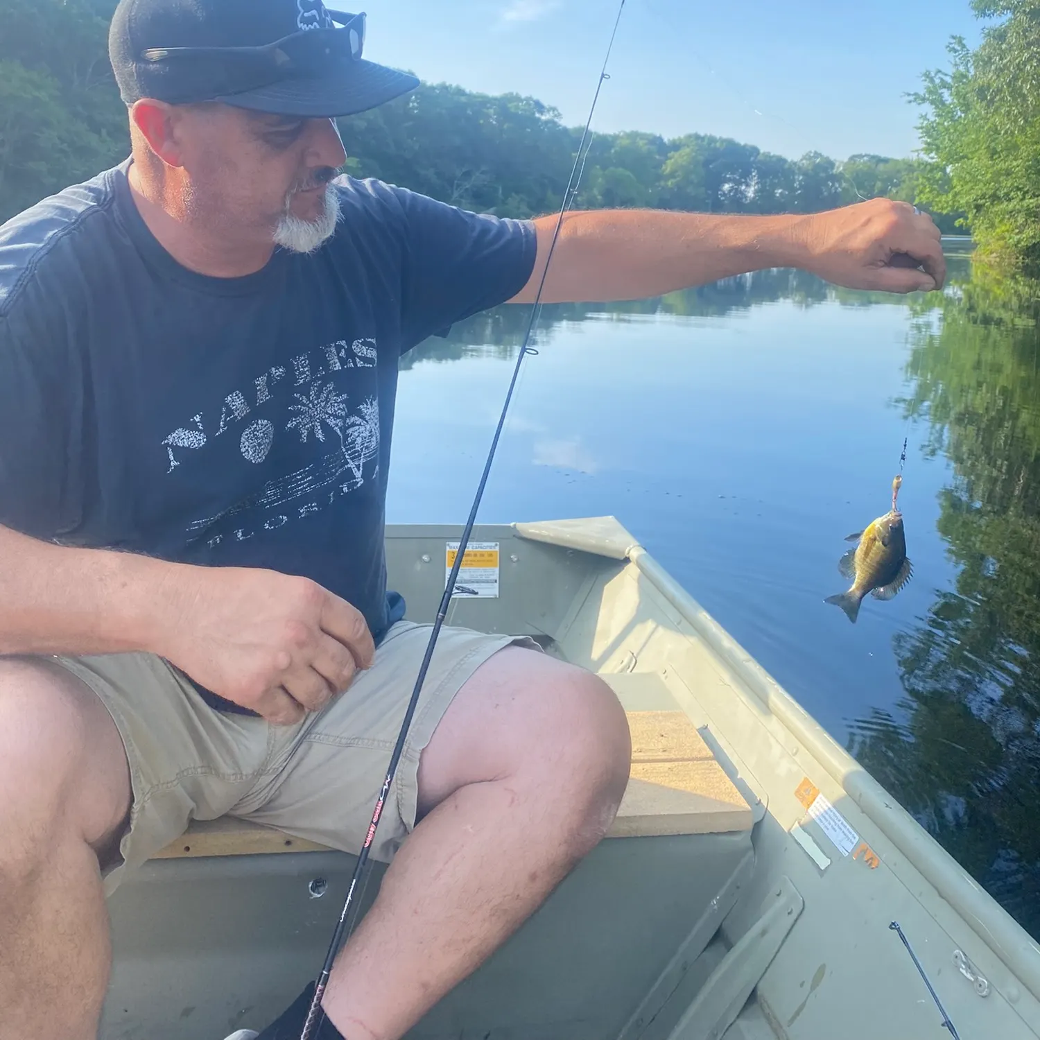 Black crappie caught on Fishbrain