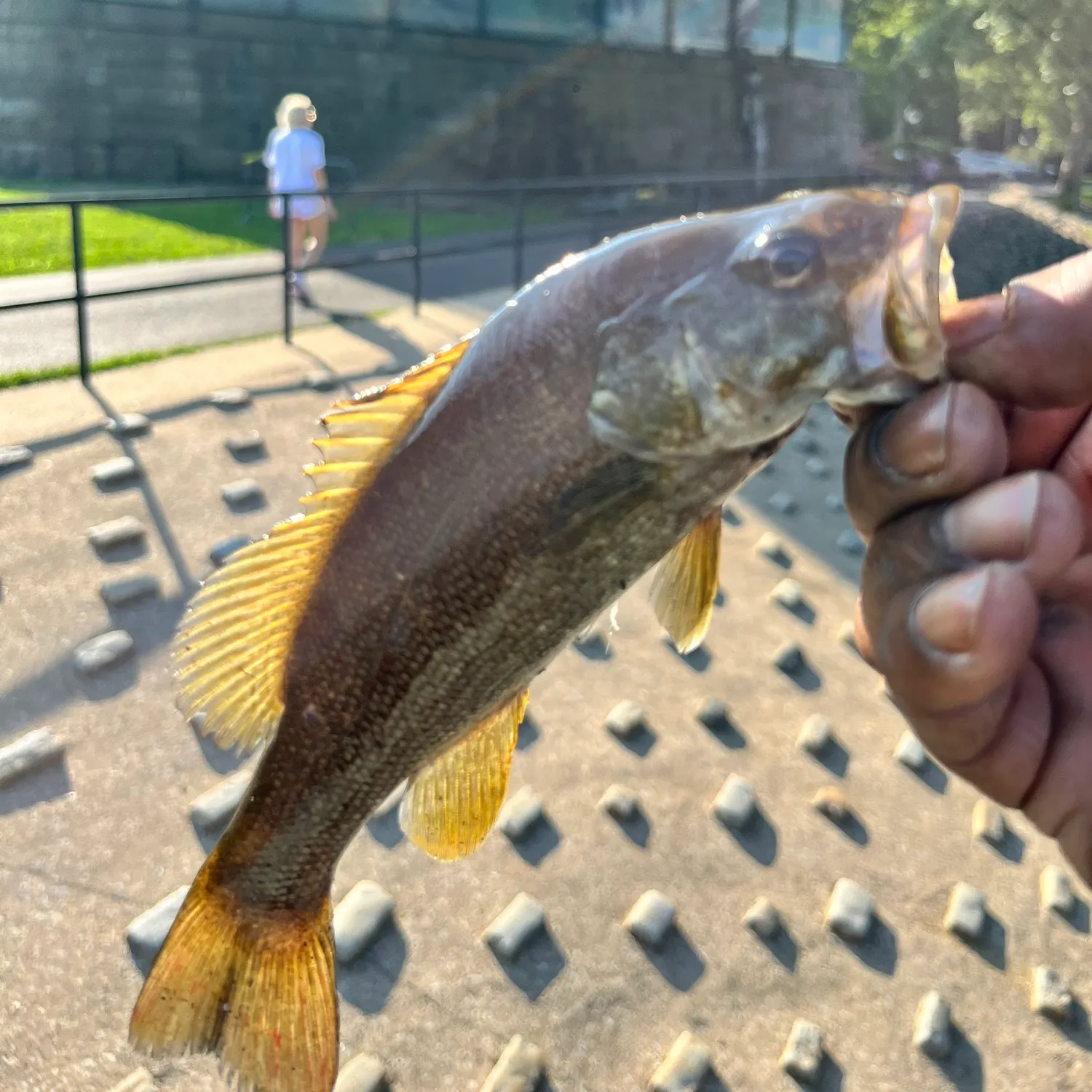 catch
