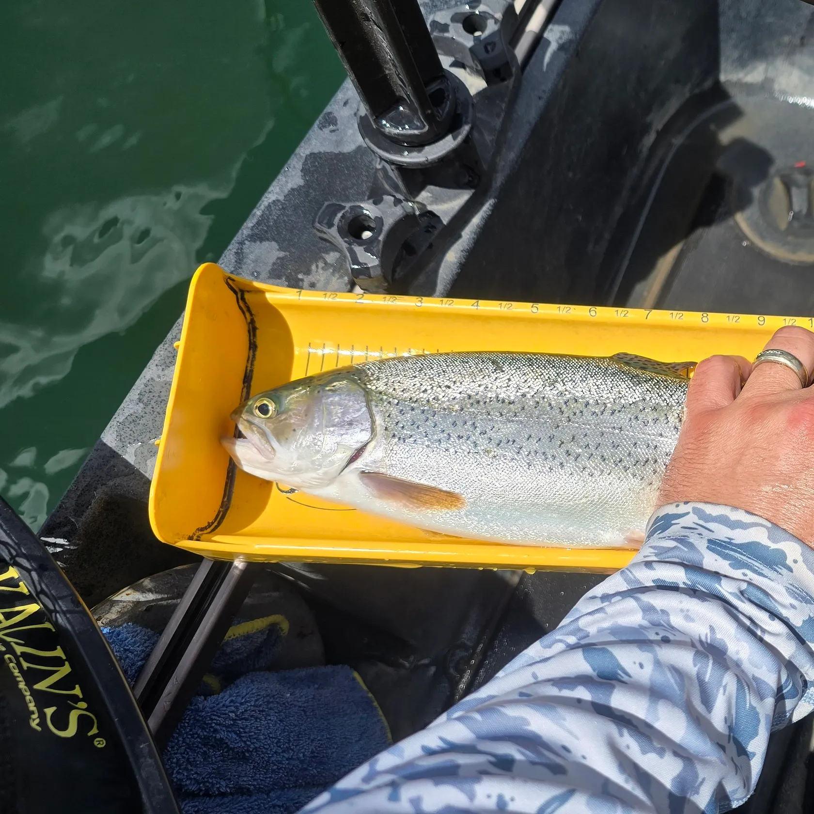 recently logged catches