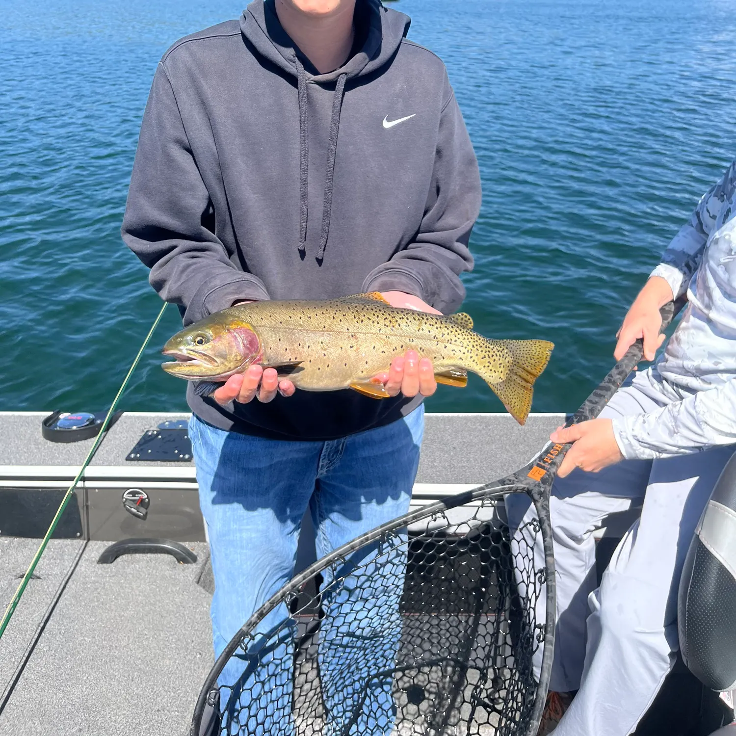 The most recent Yellowstone cutthroat trout catches on Fishbrain