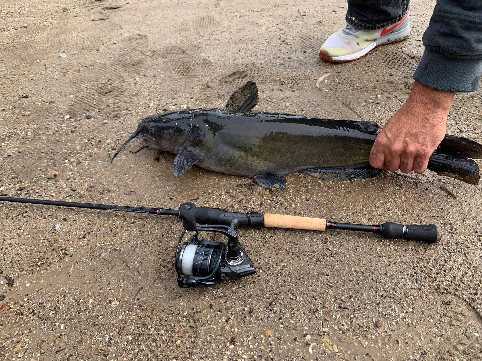 Post image from cdelatorre4451