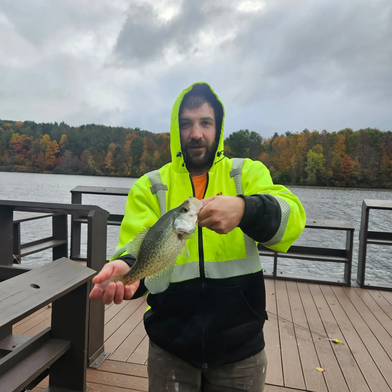 Black crappie caught on Fishbrain