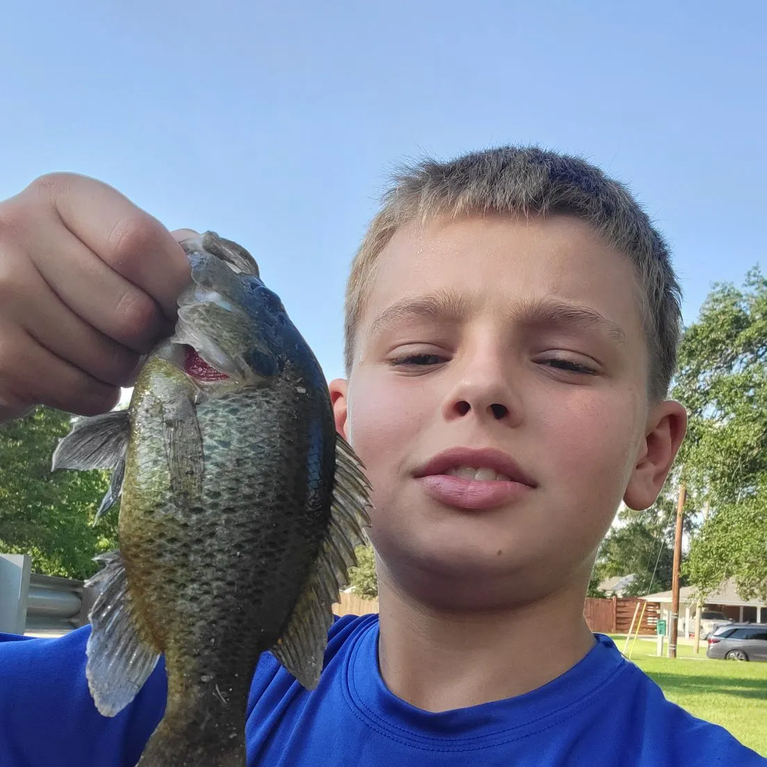 Warmouth caught on Fishbrain