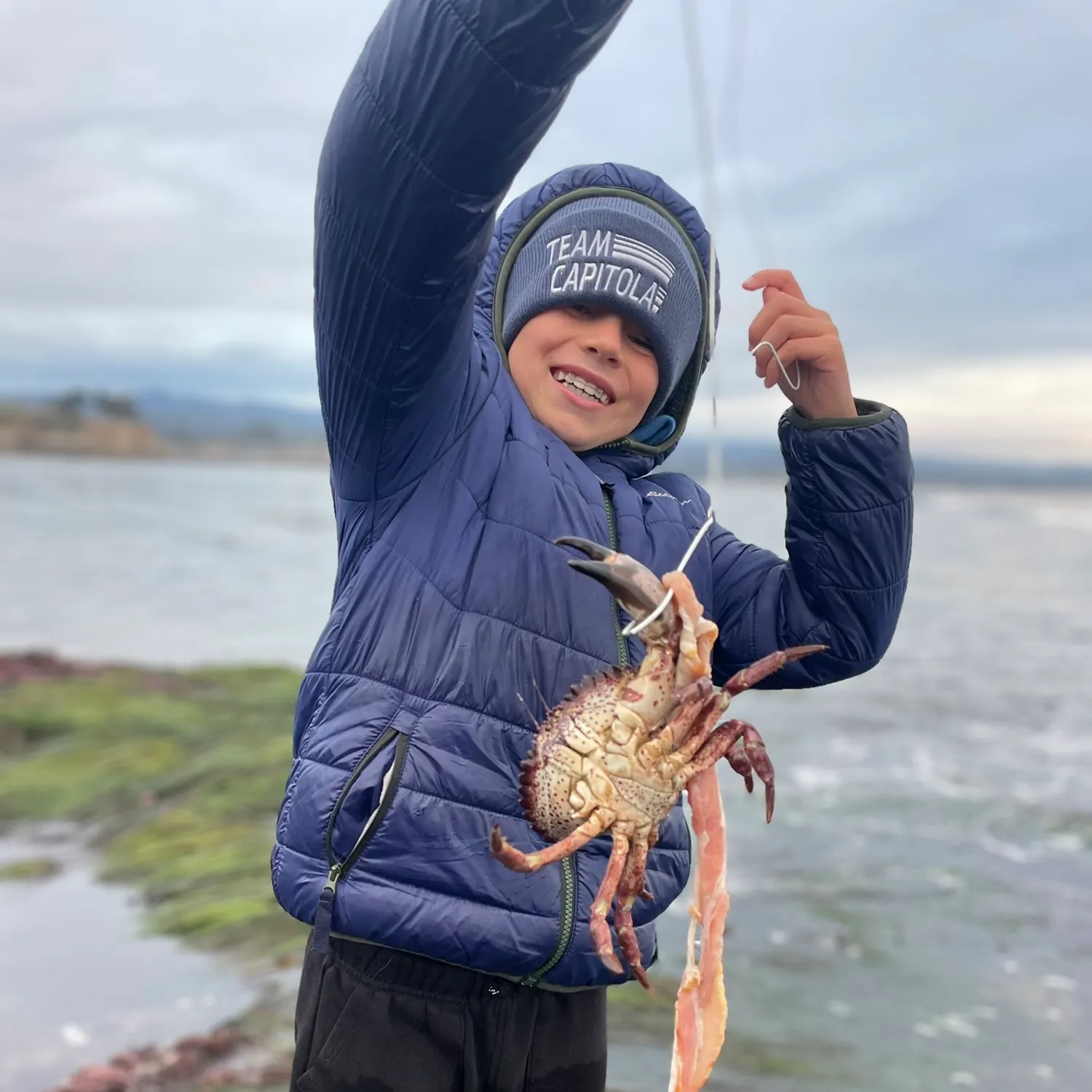 The most recent Jonah crab catches on Fishbrain