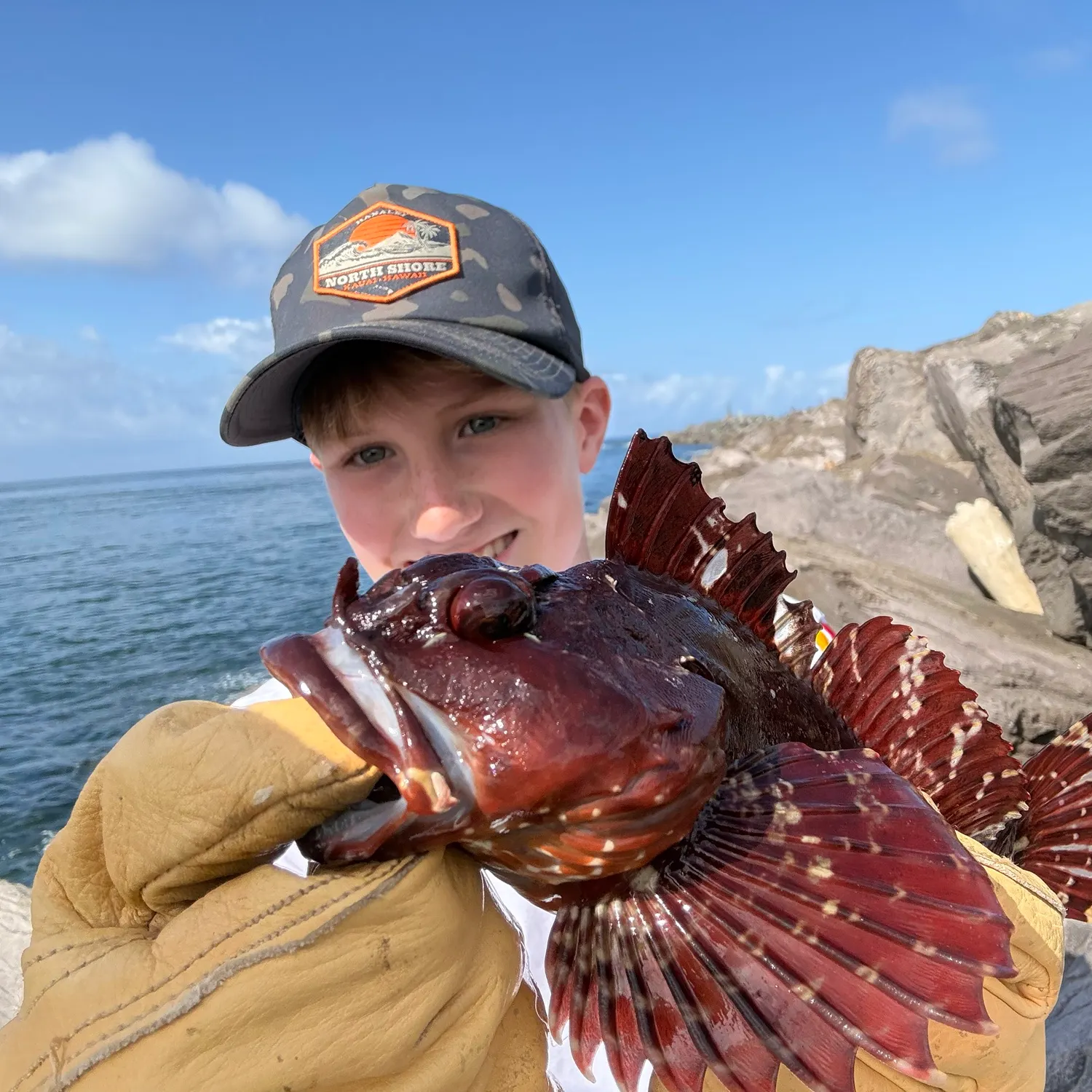The most recent Cabezon catches on Fishbrain