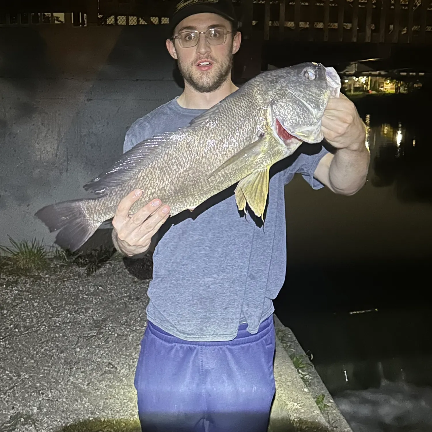 Freshwater drum caught on Fishbrain