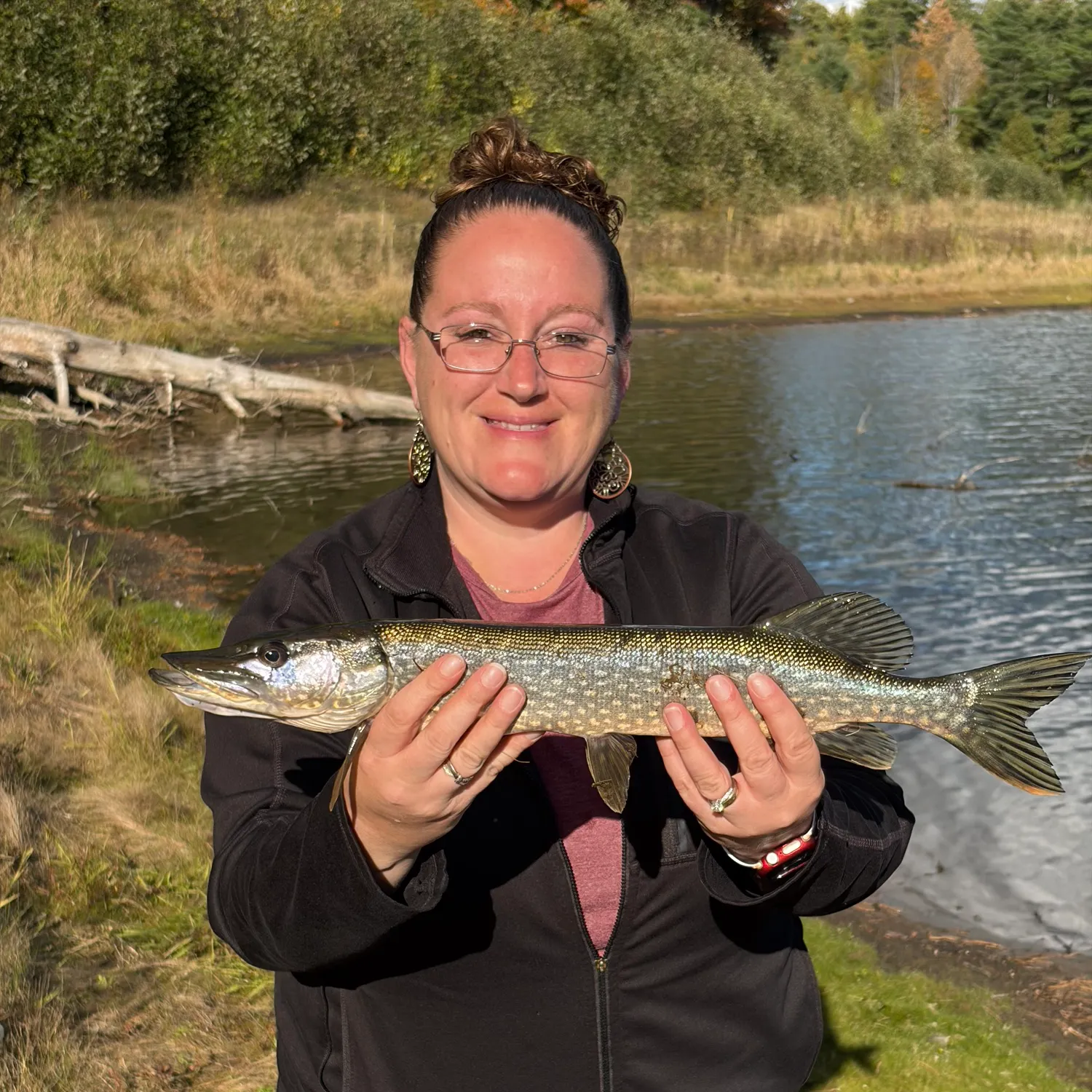 Northern pike caught on Fishbrain