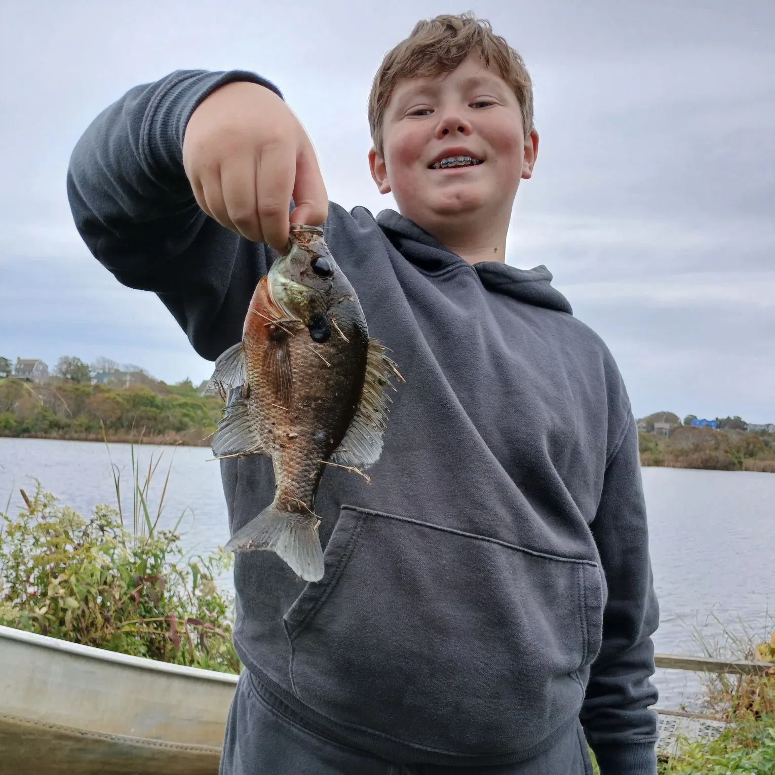 Bluegill caught on Fishbrain