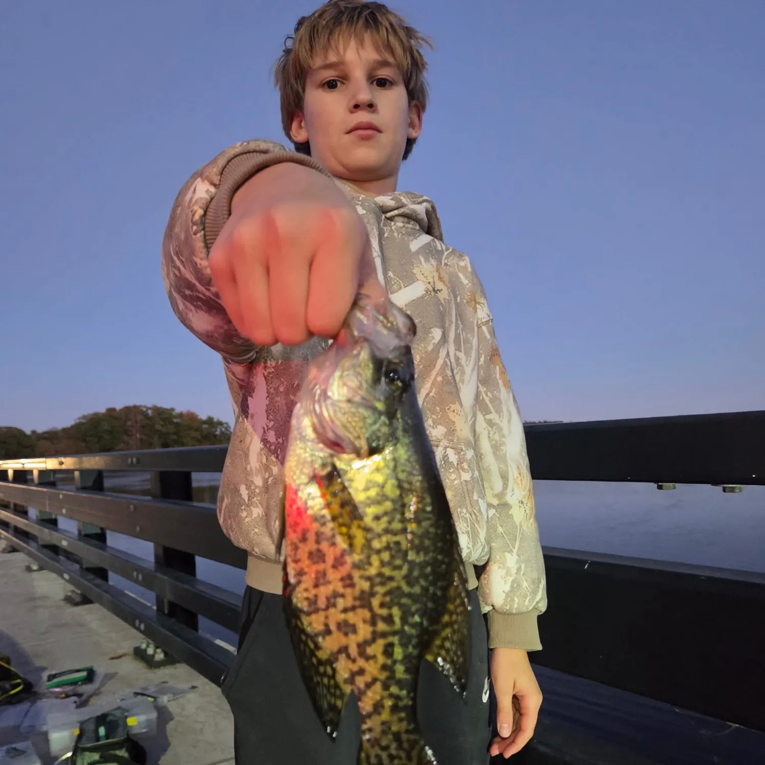 Black crappie caught on Fishbrain