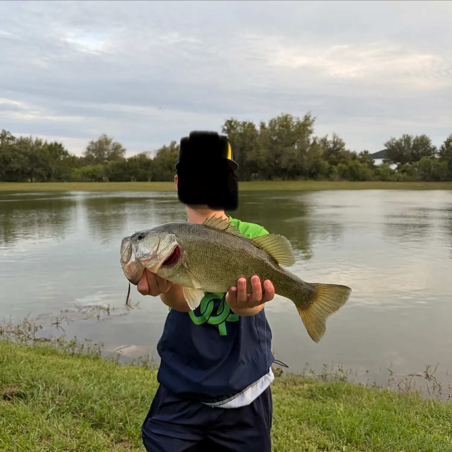 Florida bass caught on Fishbrain