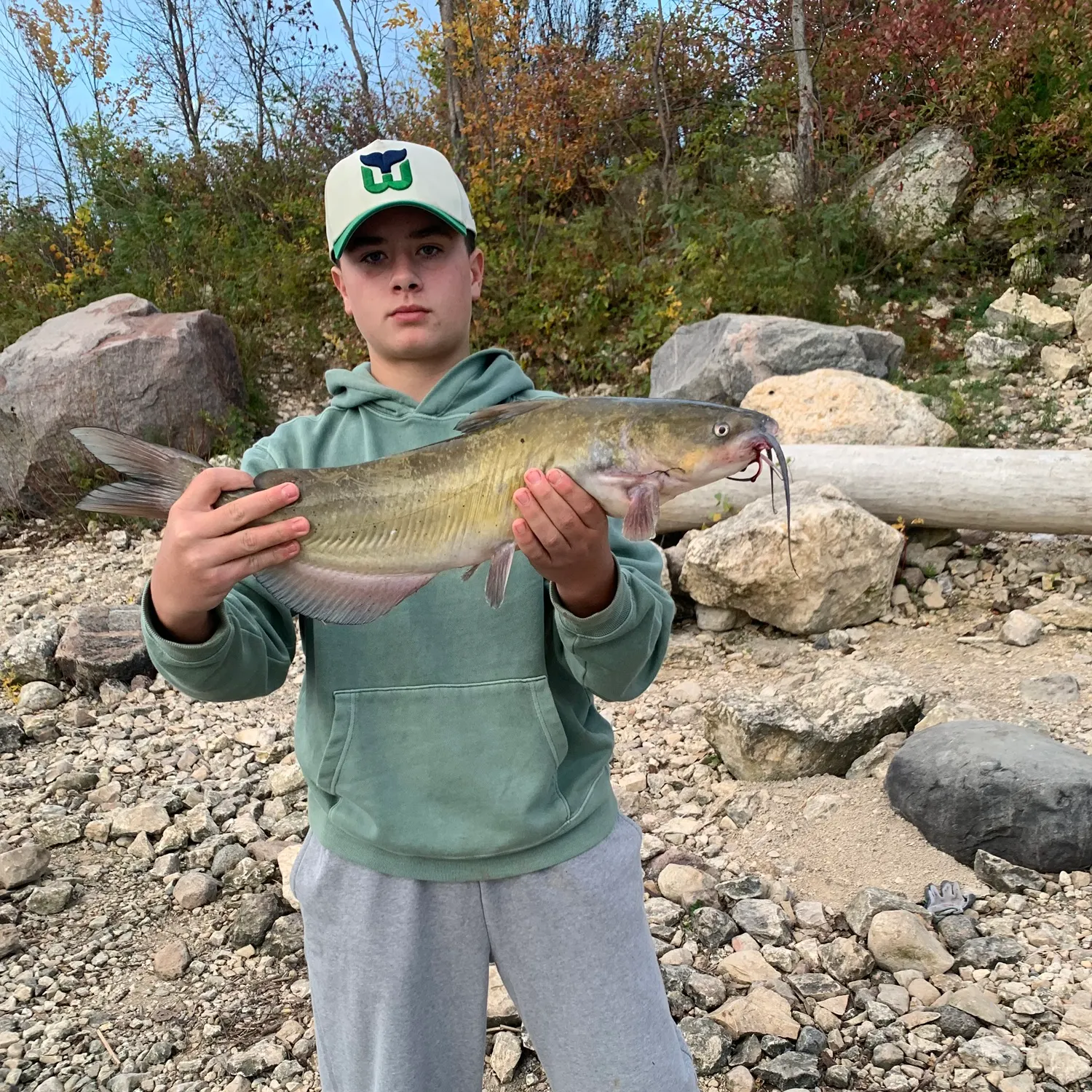 Channel catfish caught on Fishbrain