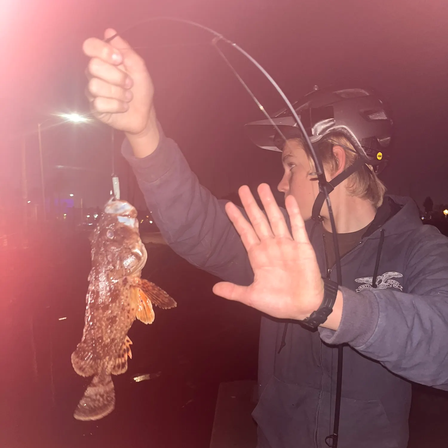 The most recent Longspined bullhead catches on Fishbrain