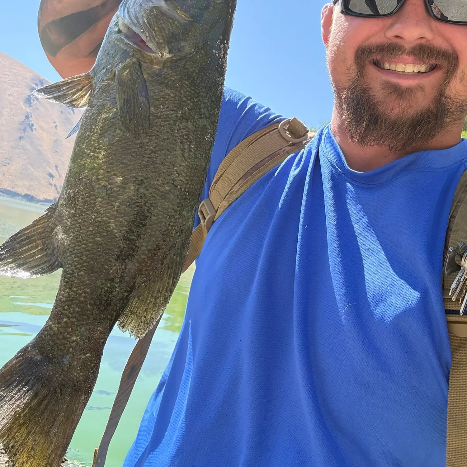 Smallmouth bass caught on Fishbrain