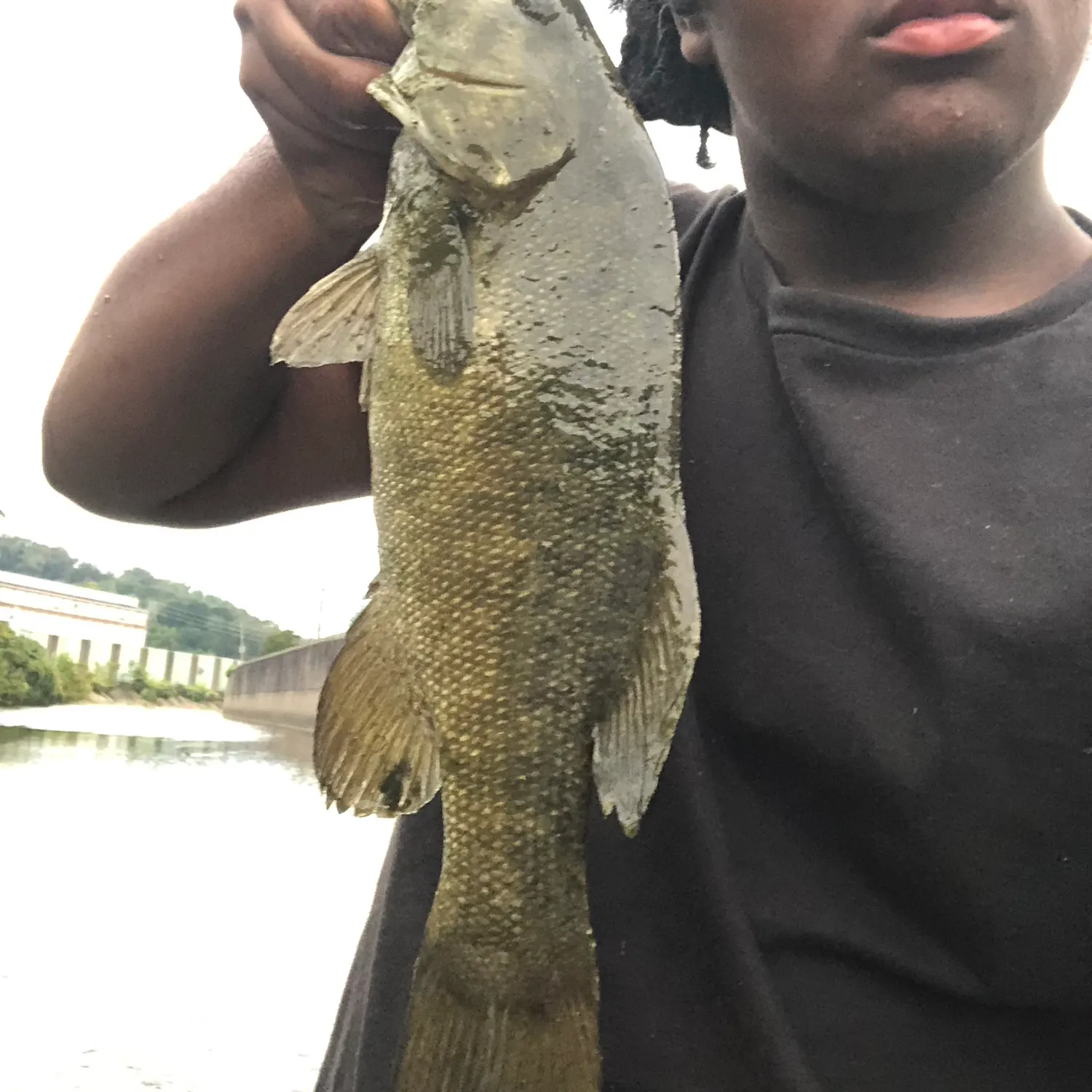 Smallmouth bass caught on Fishbrain