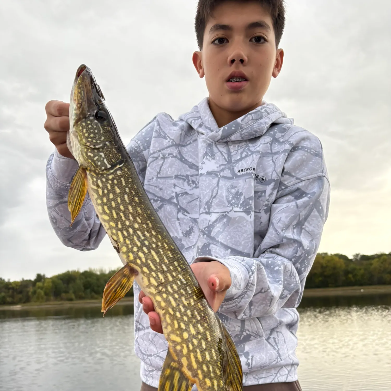 Northern pike caught on Fishbrain