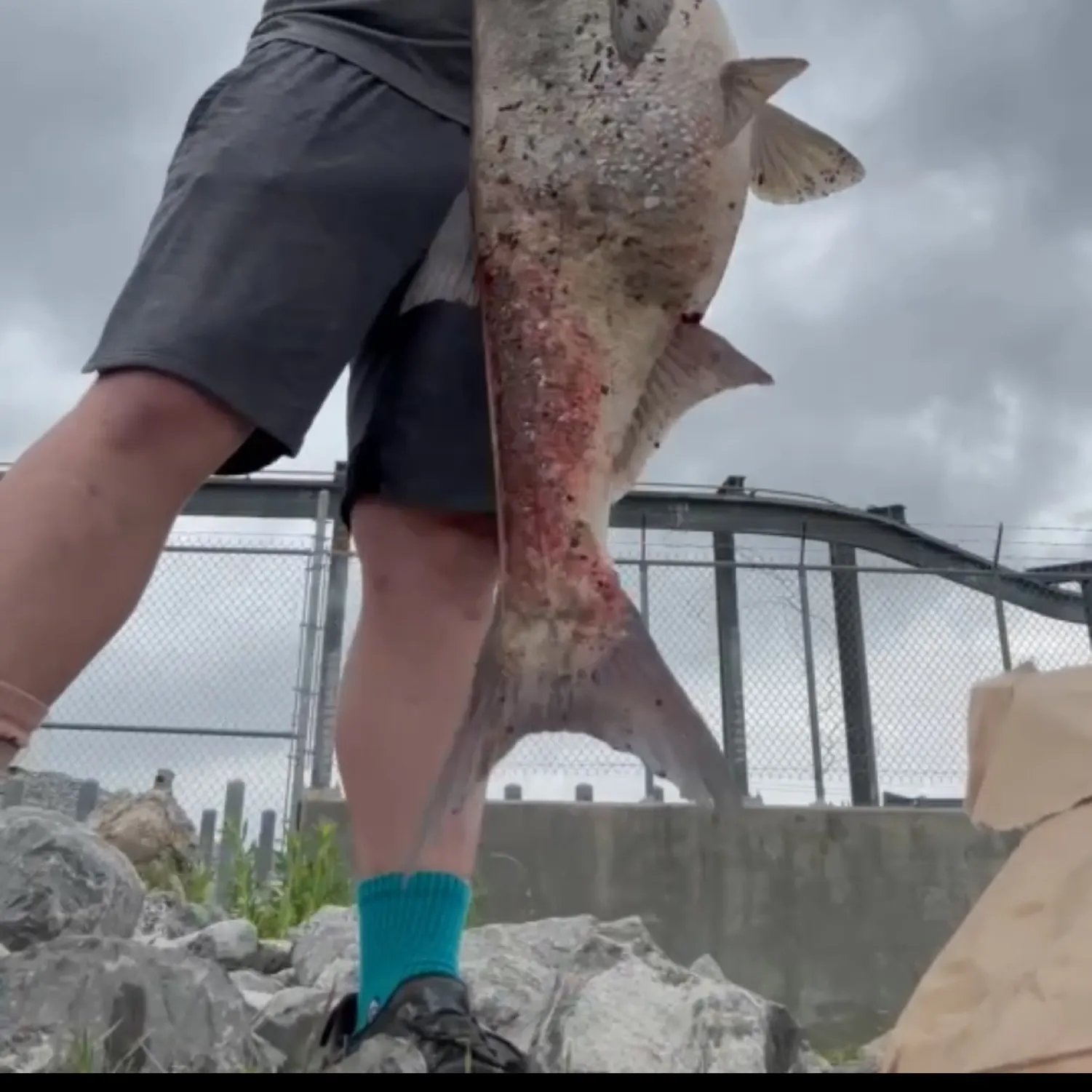 most liked catch image