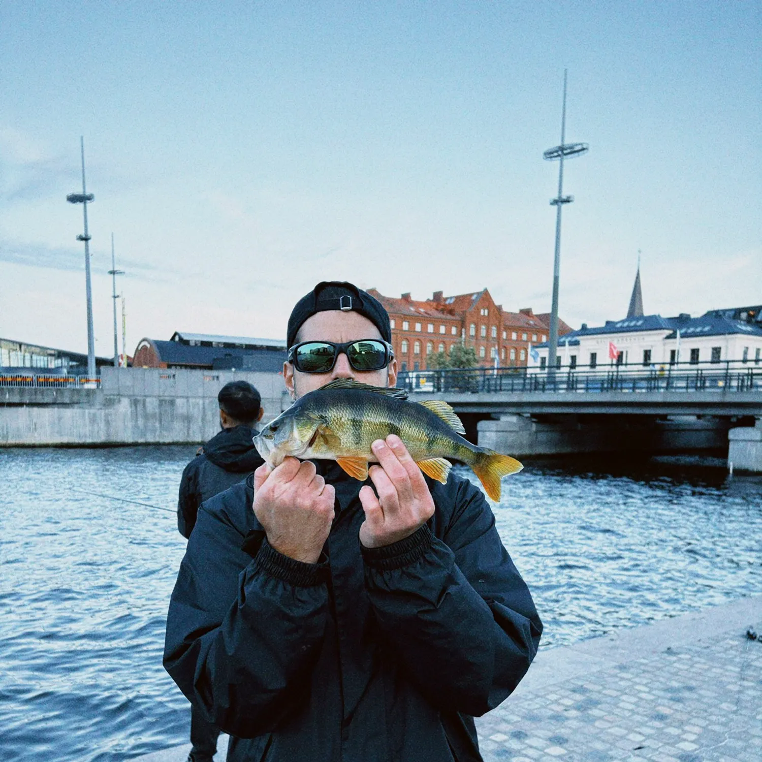 European perch caught on Fishbrain
