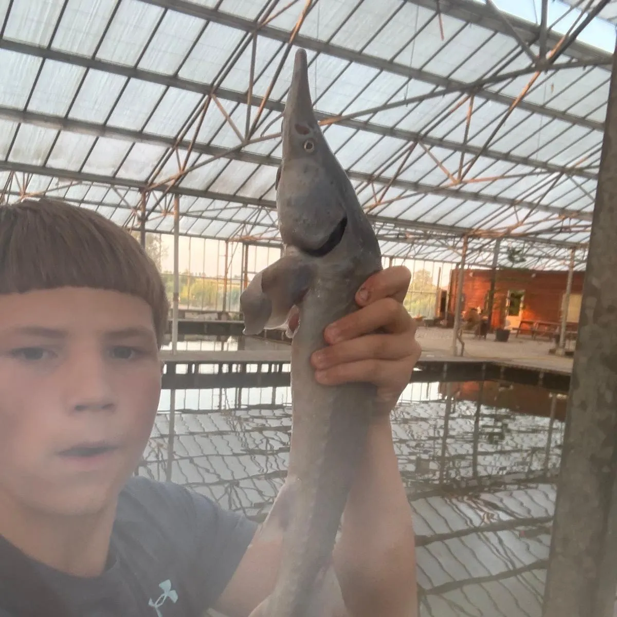 The most recent Siberian sturgeon catches on Fishbrain