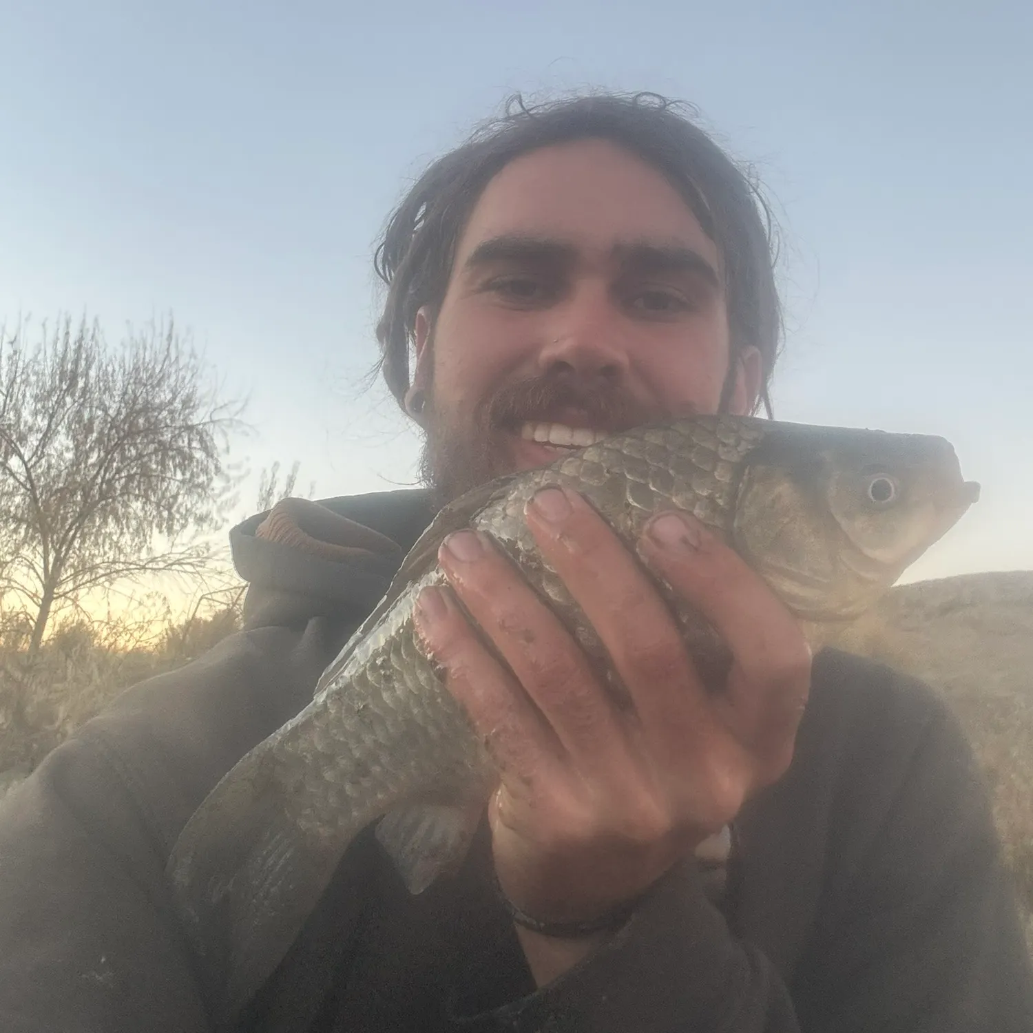 The most recent Prussian carp catches on Fishbrain