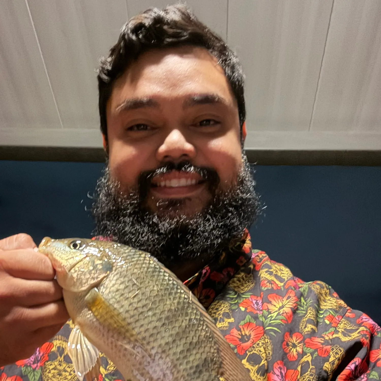 Nile tilapia caught on Fishbrain