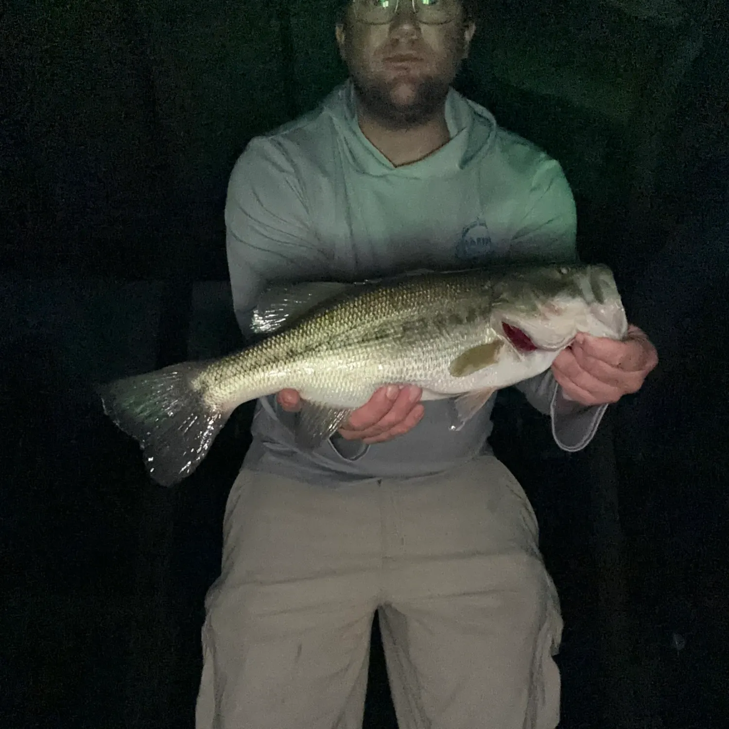 The most recent Largemouth bass catches on Fishbrain