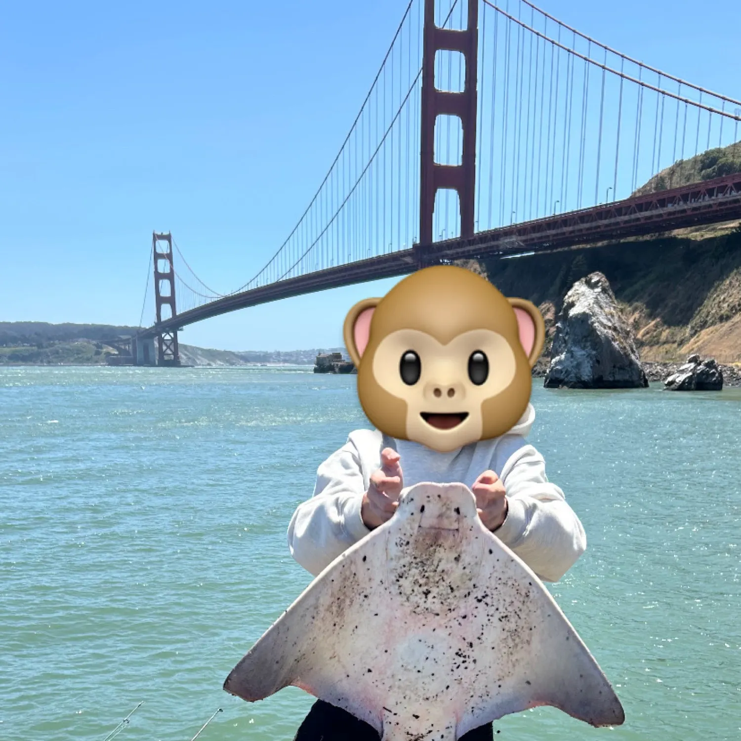 most liked catch image