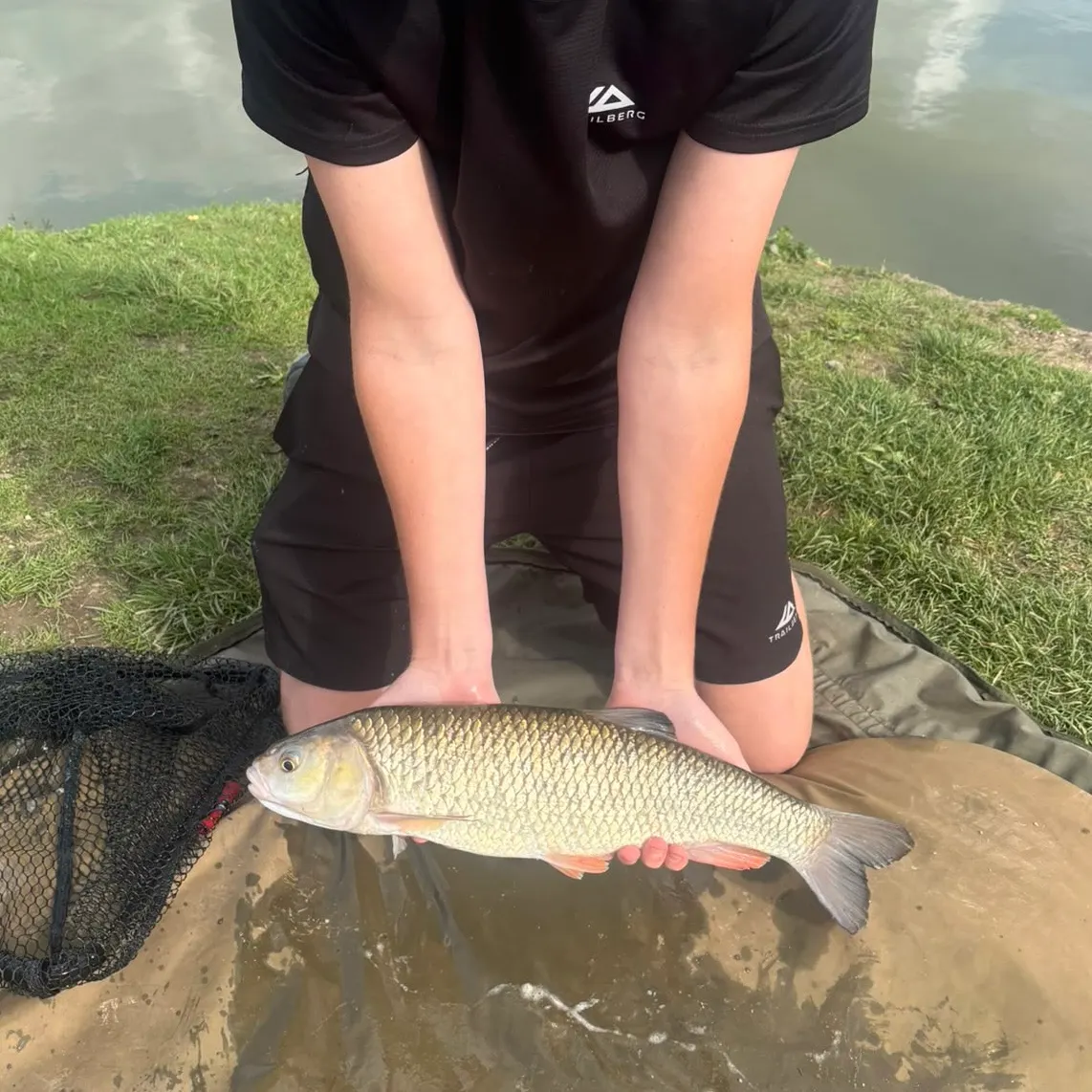 European chub caught on Fishbrain