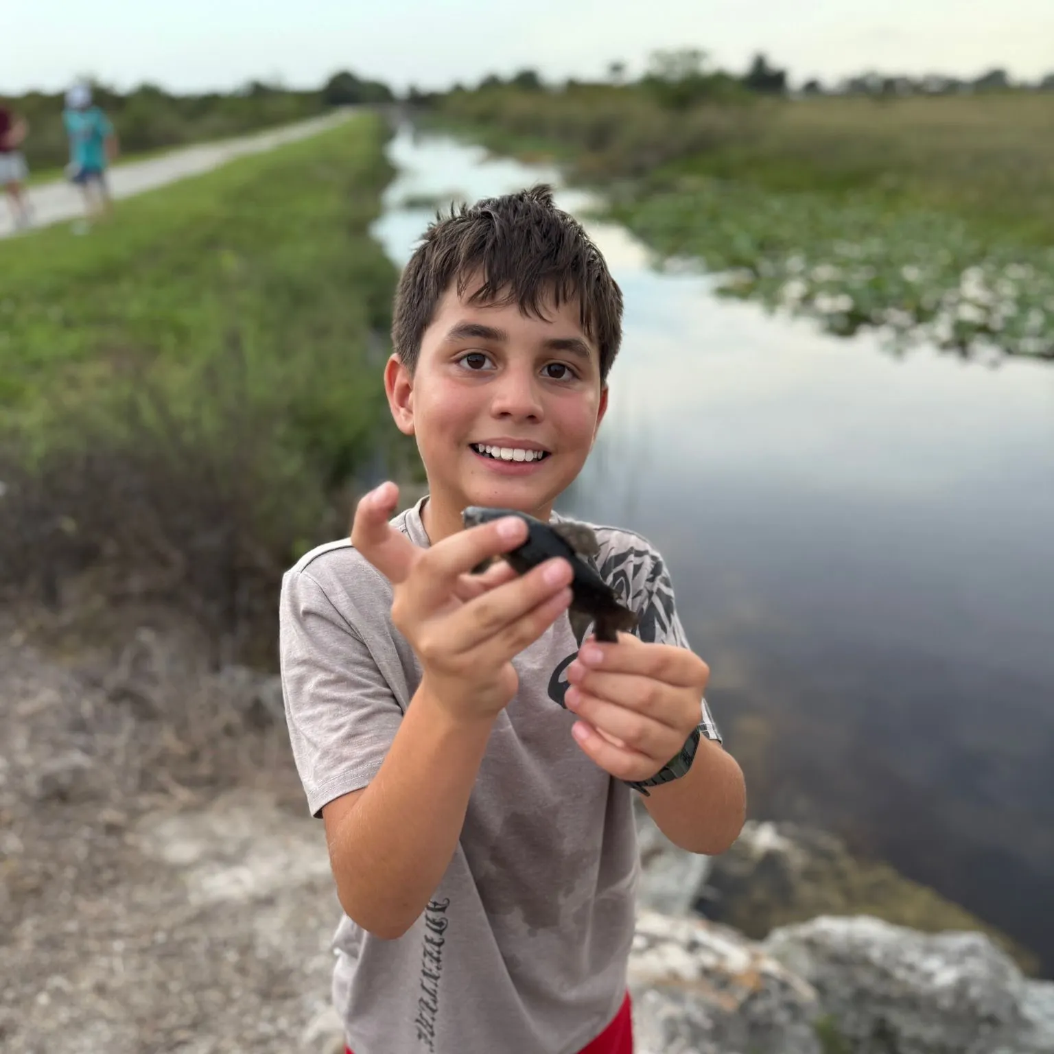 The most recent Brown Hoplo catches on Fishbrain