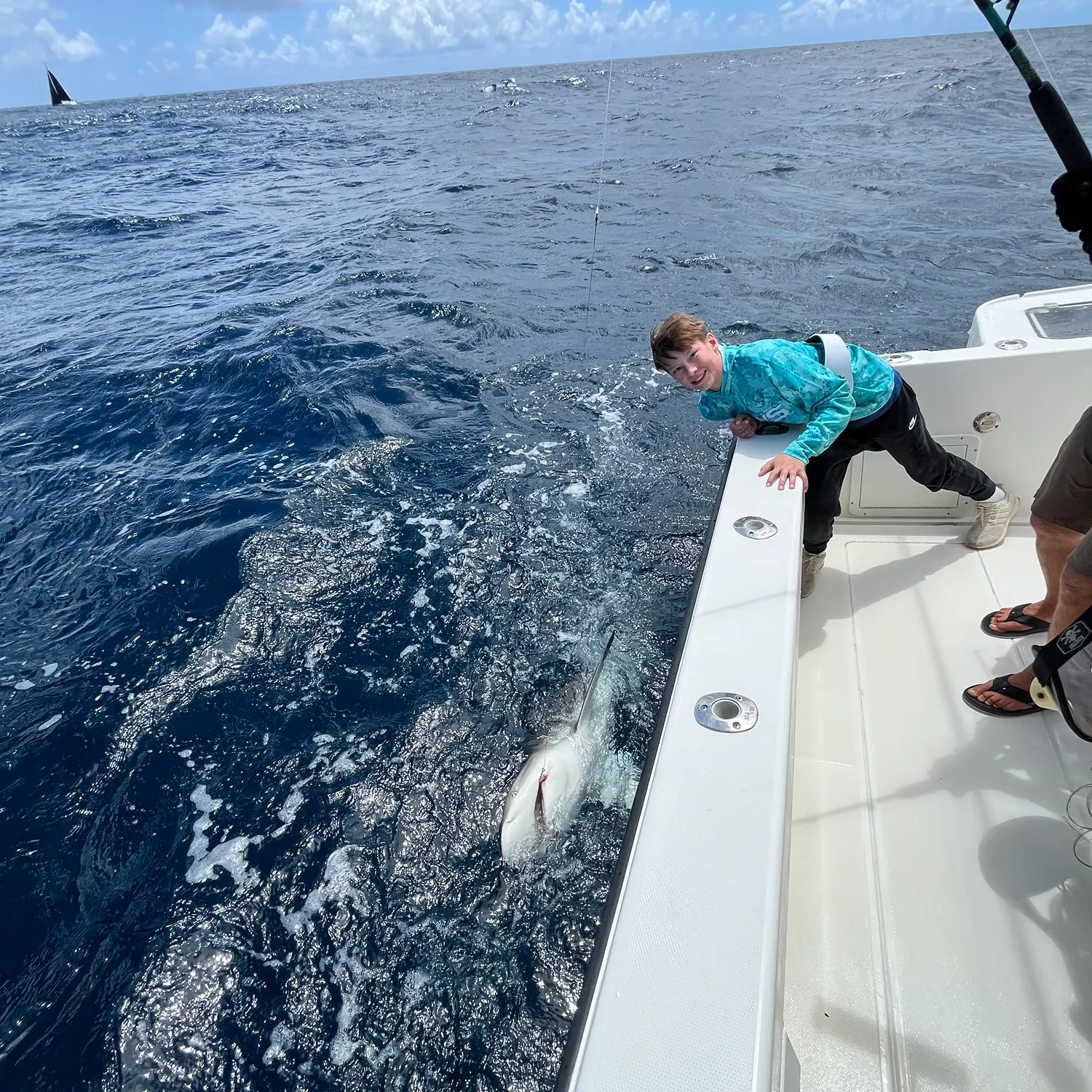 The most recent Silky shark catches on Fishbrain
