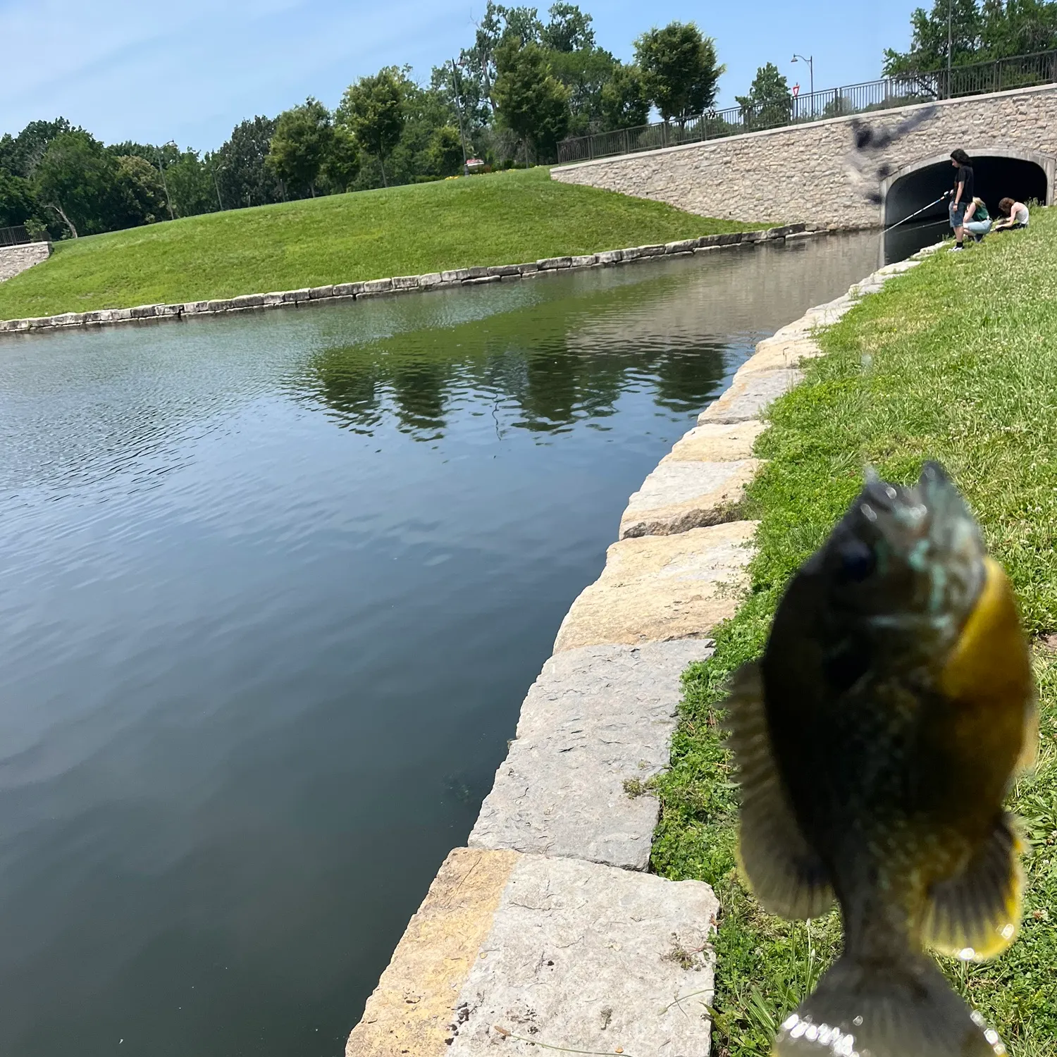most liked catch image