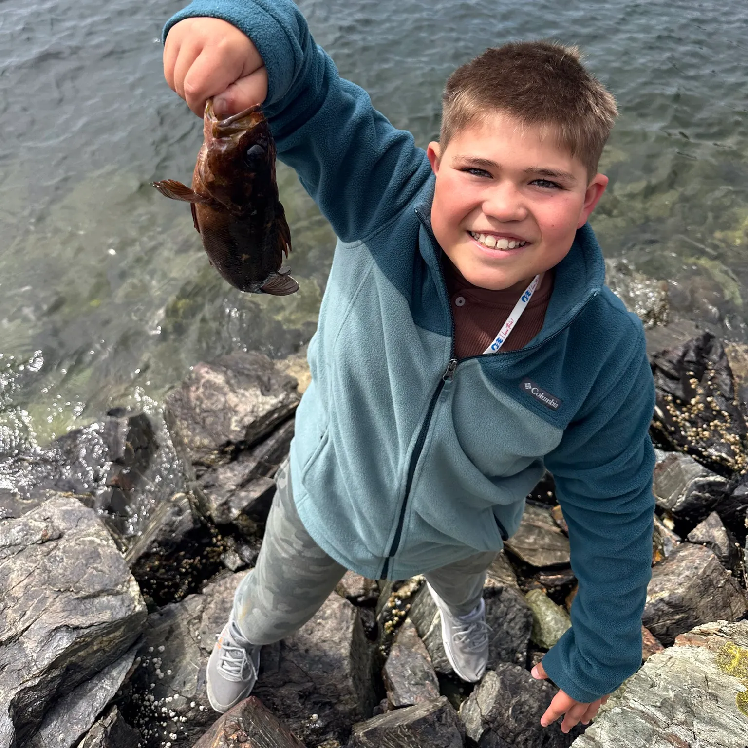 The most recent Black rockfish catches on Fishbrain