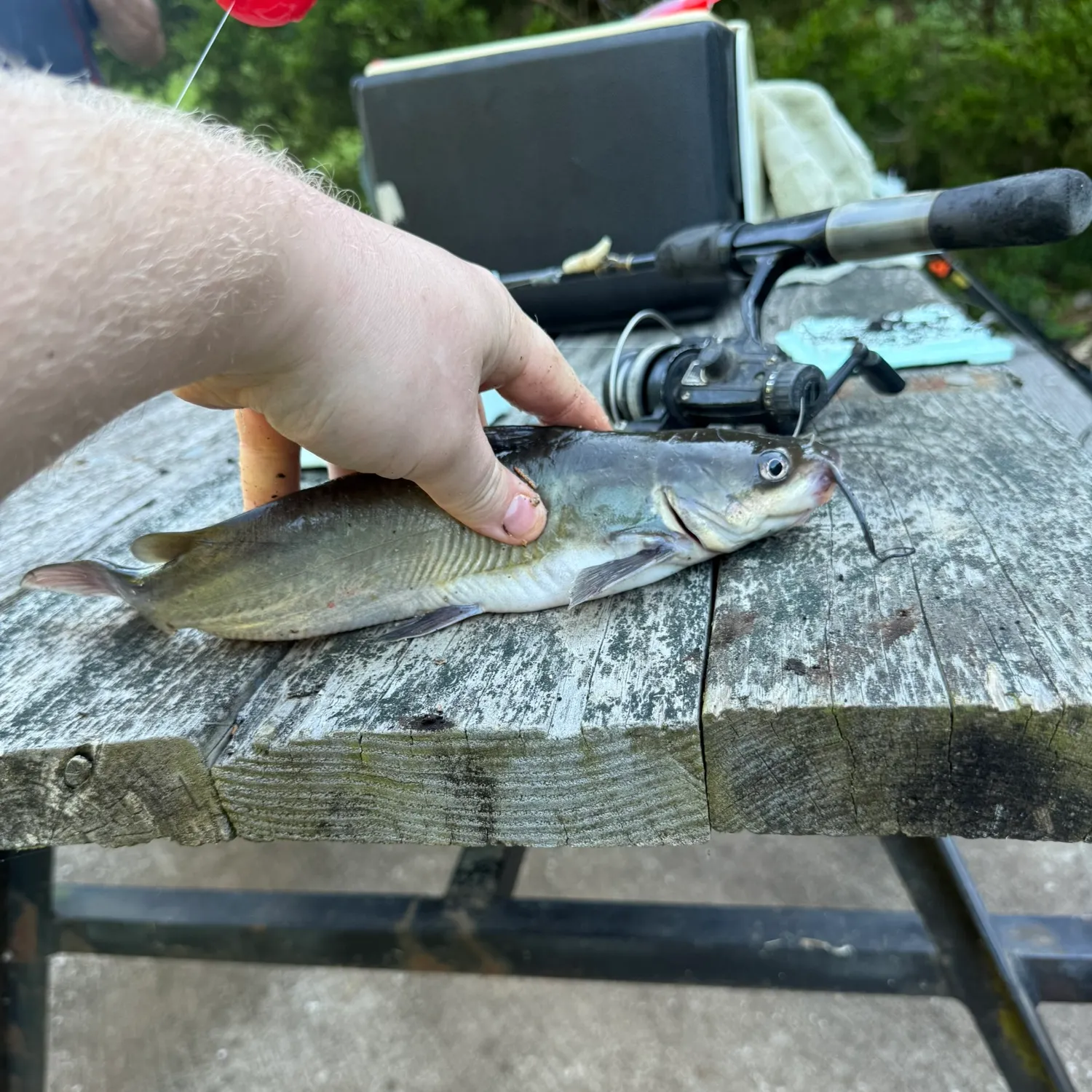 catch