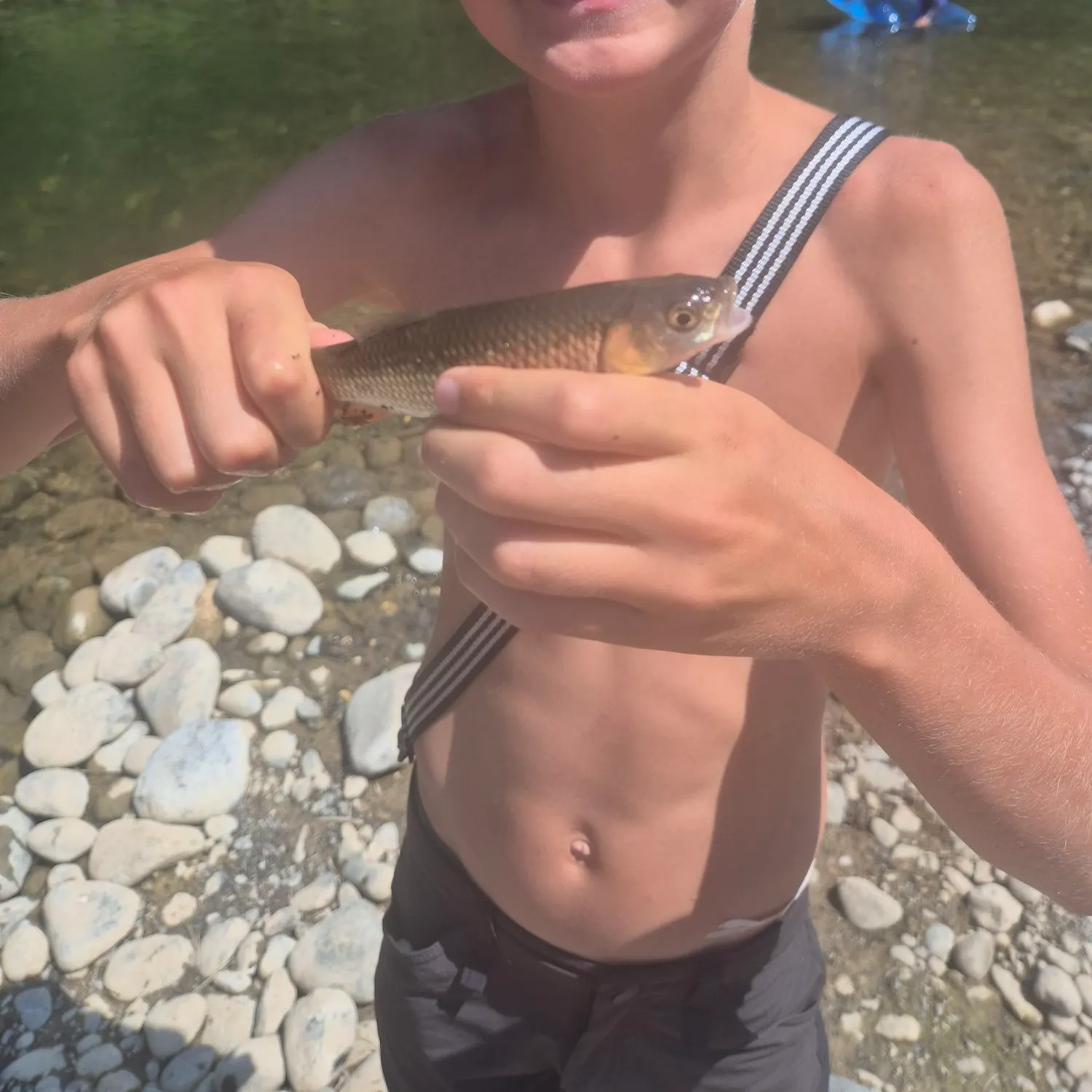 European chub caught on Fishbrain
