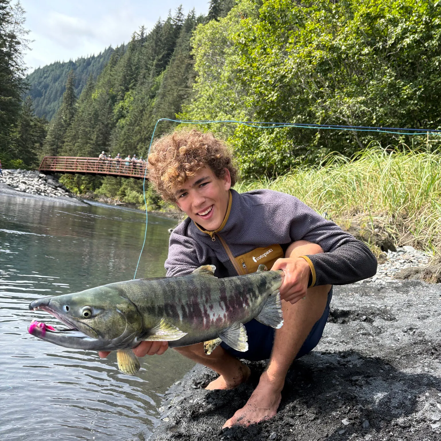 The most recent Chum salmon catches on Fishbrain
