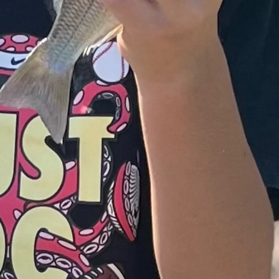 The most recent Striped mojarra catches on Fishbrain