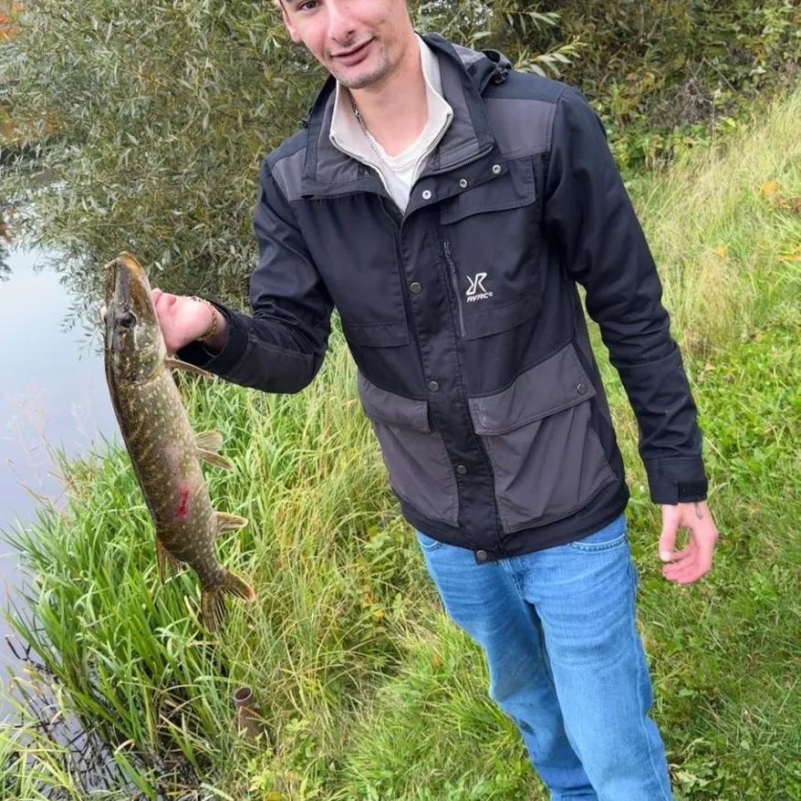 Northern pike caught on Fishbrain