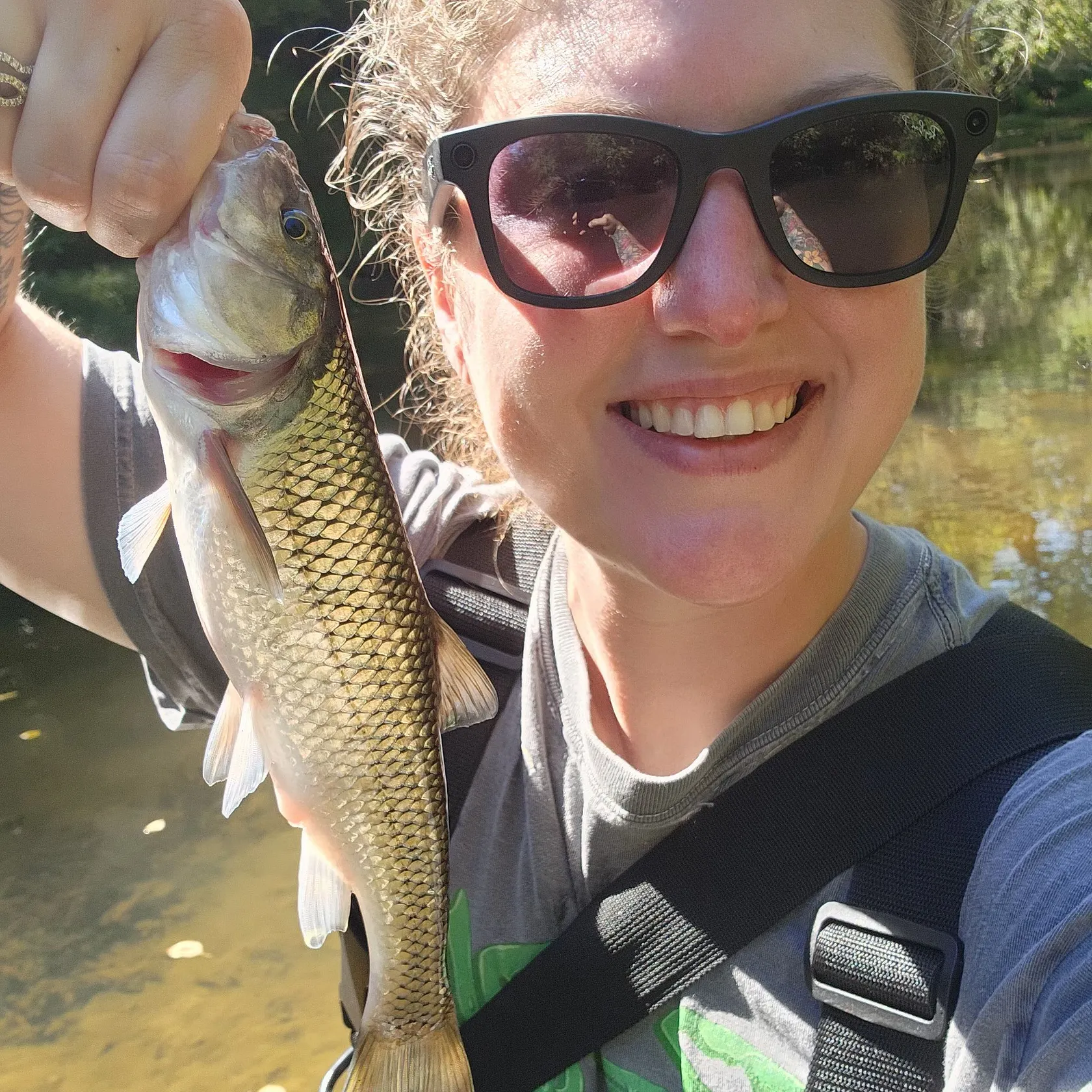 Fallfish caught on Fishbrain