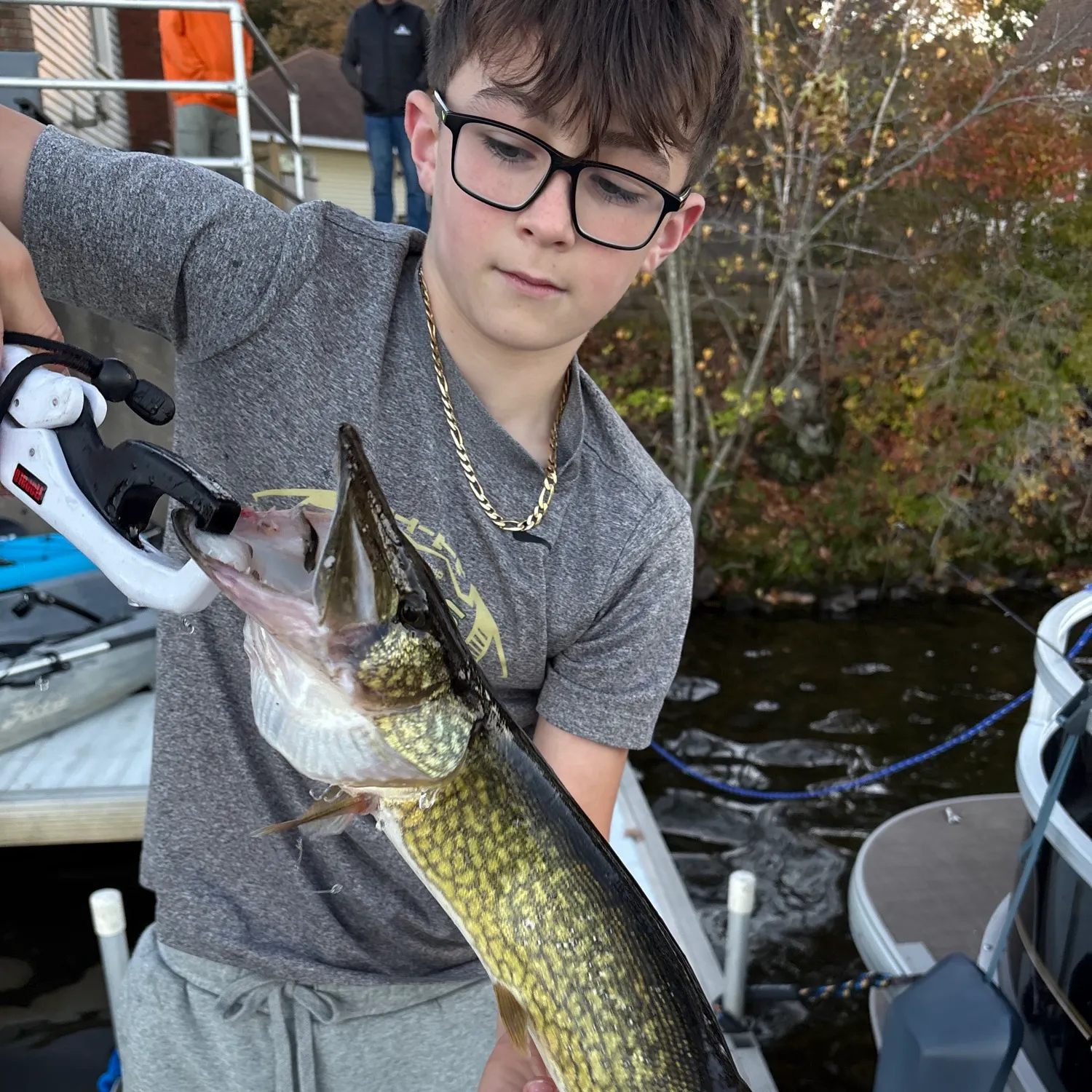 Chain pickerel caught on Fishbrain