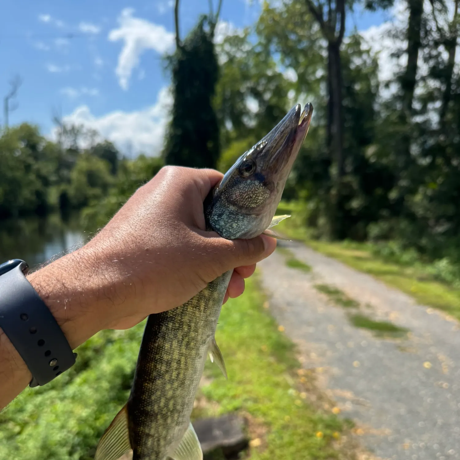 catch